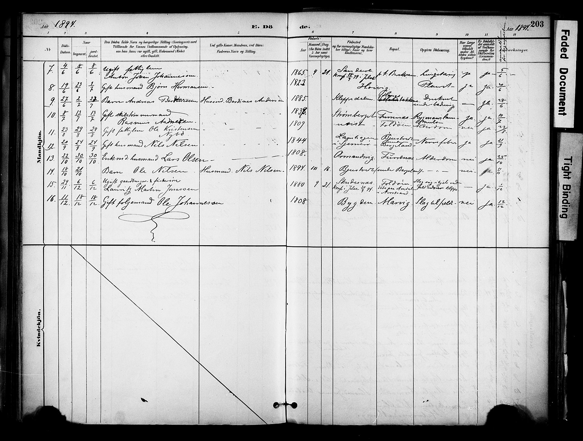 Jelsa sokneprestkontor, AV/SAST-A-101842/01/IV: Parish register (official) no. A 10, 1884-1906, p. 203