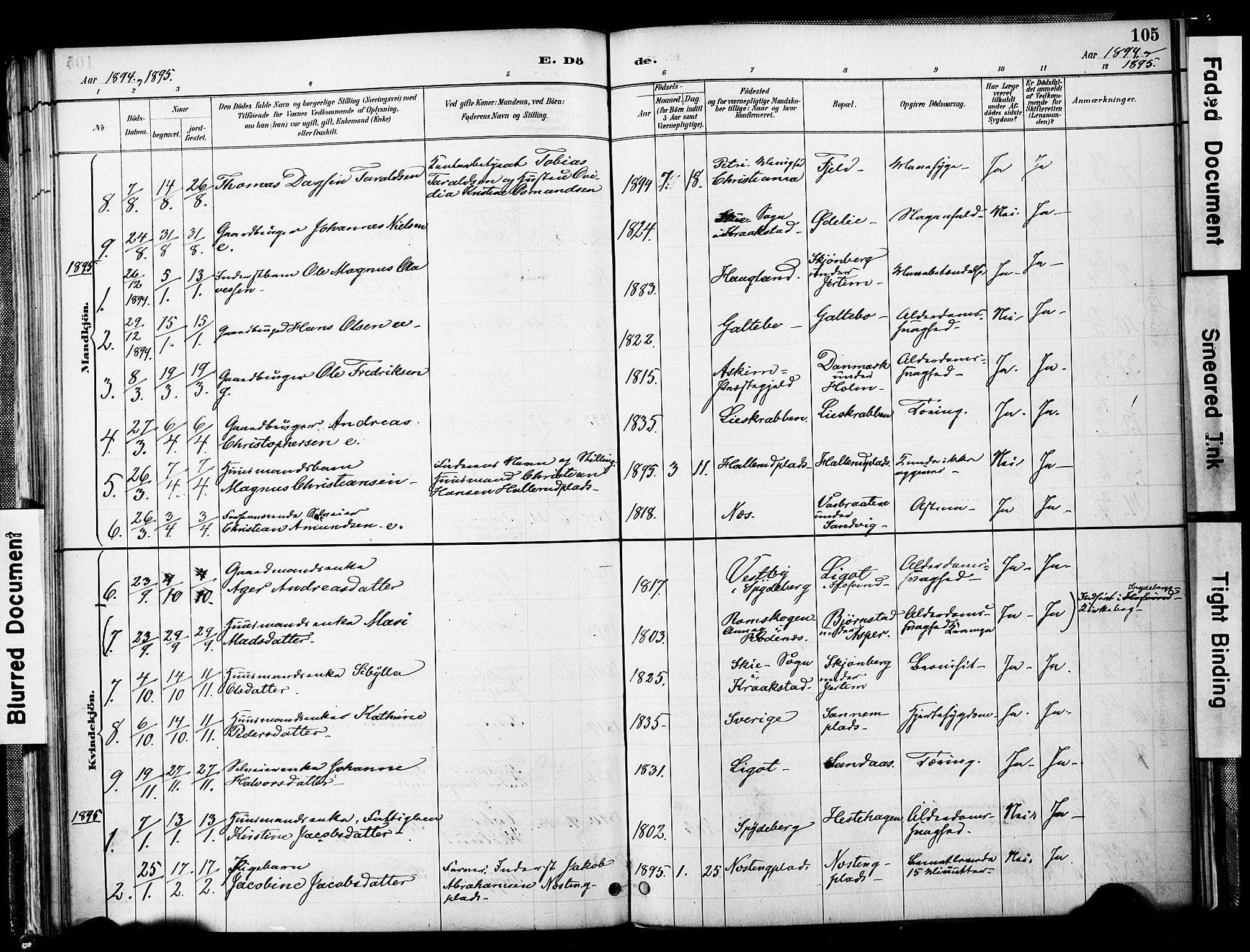 Spydeberg prestekontor Kirkebøker, SAO/A-10924/F/Fb/L0001: Parish register (official) no. II 1, 1886-1907, p. 105