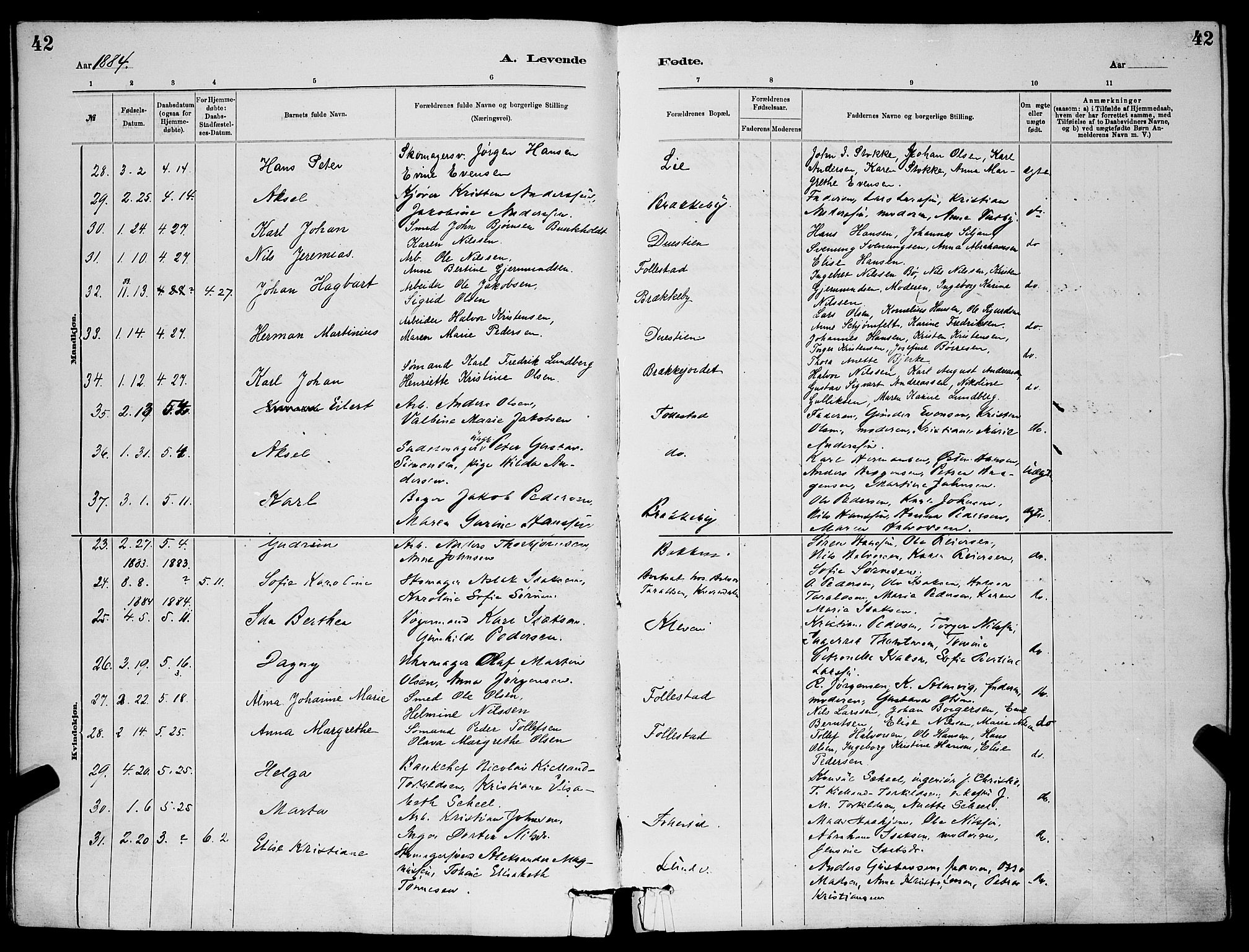 Skien kirkebøker, AV/SAKO-A-302/G/Ga/L0006: Parish register (copy) no. 6, 1881-1890, p. 42