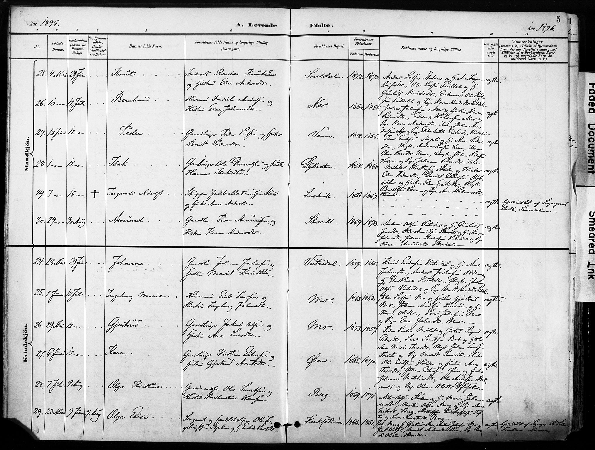 Ministerialprotokoller, klokkerbøker og fødselsregistre - Sør-Trøndelag, SAT/A-1456/630/L0497: Parish register (official) no. 630A10, 1896-1910, p. 5