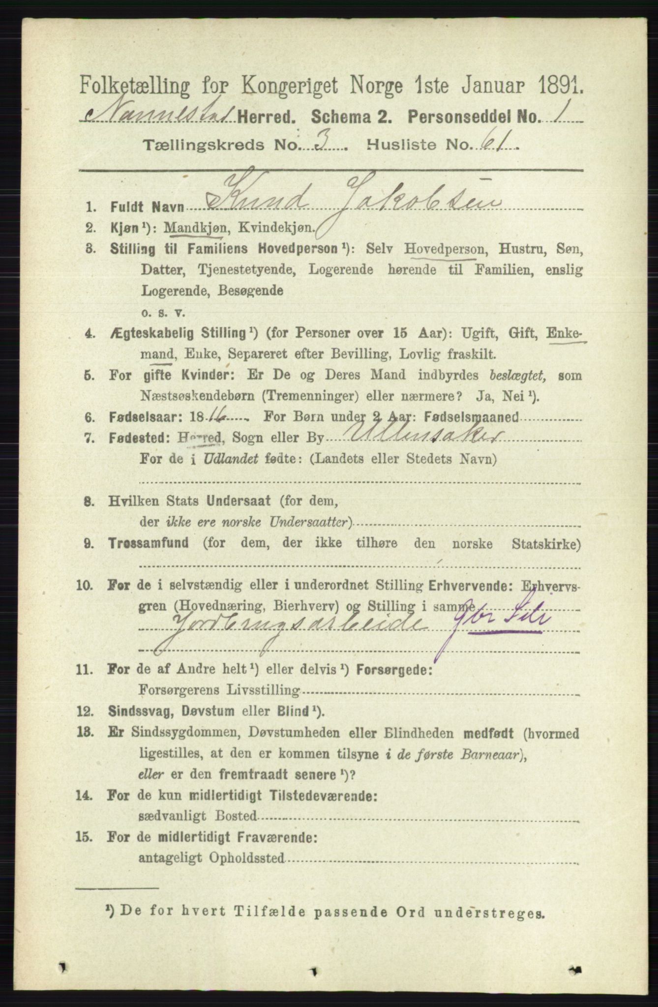 RA, 1891 census for 0238 Nannestad, 1891, p. 1818