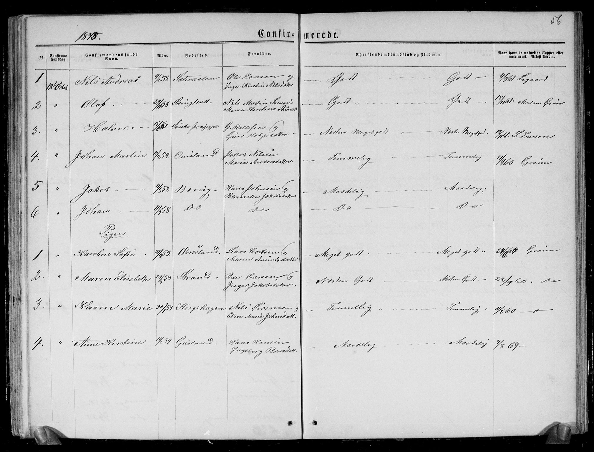Brunlanes kirkebøker, AV/SAKO-A-342/G/Gc/L0001: Parish register (copy) no. III 1, 1866-1890, p. 56