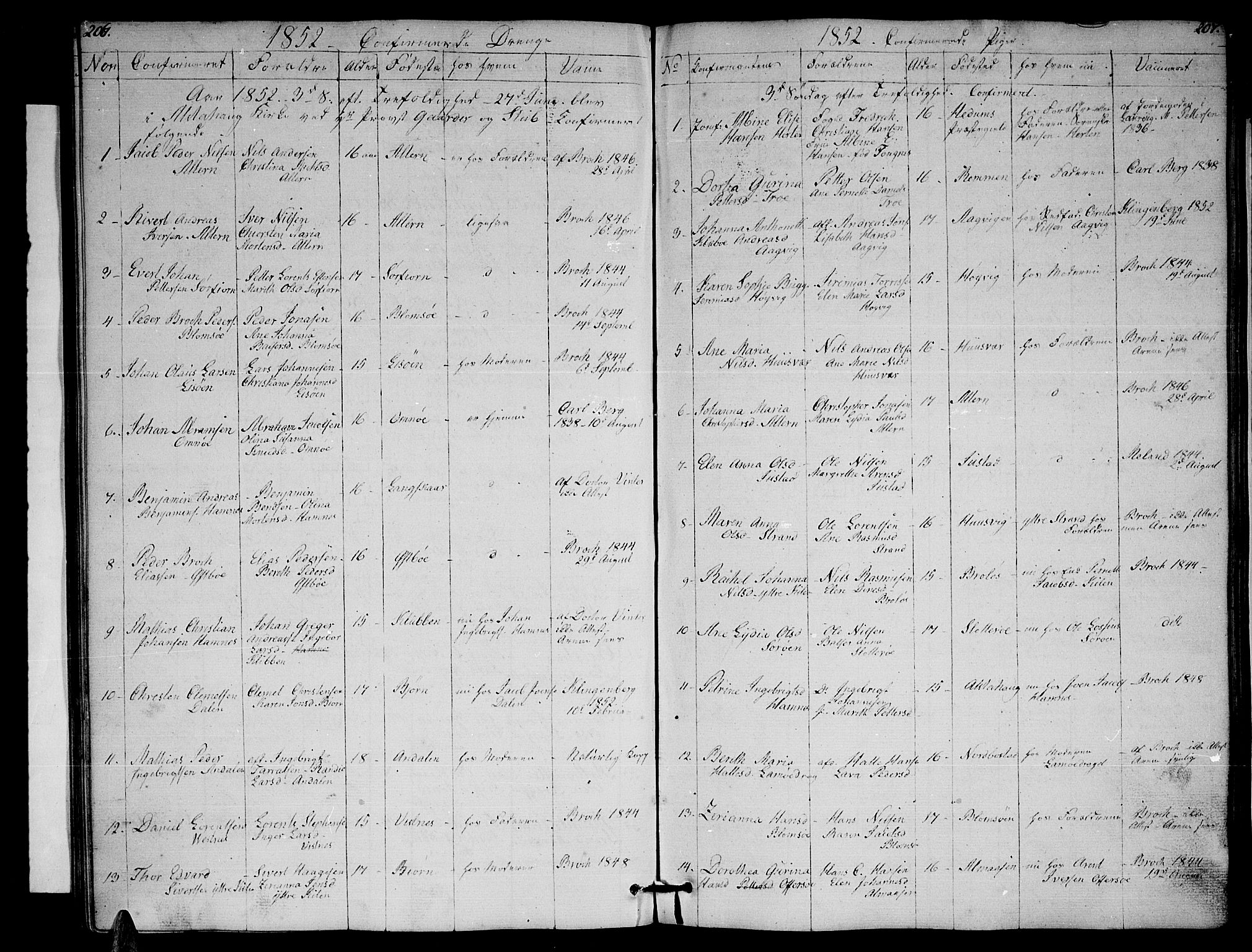 Ministerialprotokoller, klokkerbøker og fødselsregistre - Nordland, AV/SAT-A-1459/830/L0460: Parish register (copy) no. 830C02, 1843-1865, p. 206-207