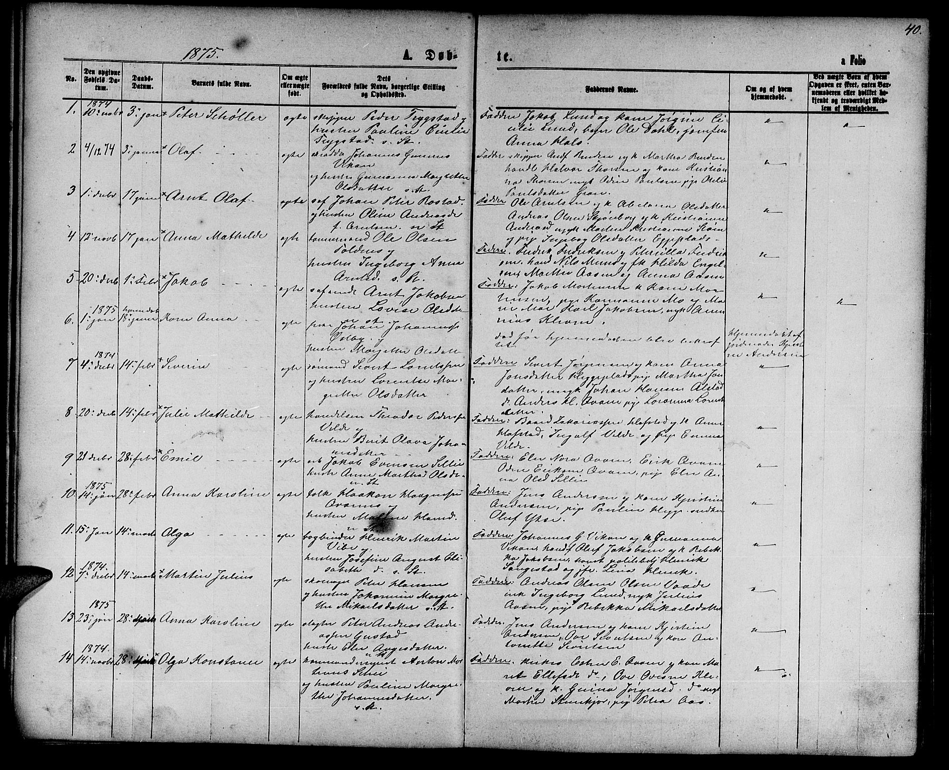 Ministerialprotokoller, klokkerbøker og fødselsregistre - Nord-Trøndelag, SAT/A-1458/739/L0373: Parish register (copy) no. 739C01, 1865-1882, p. 40