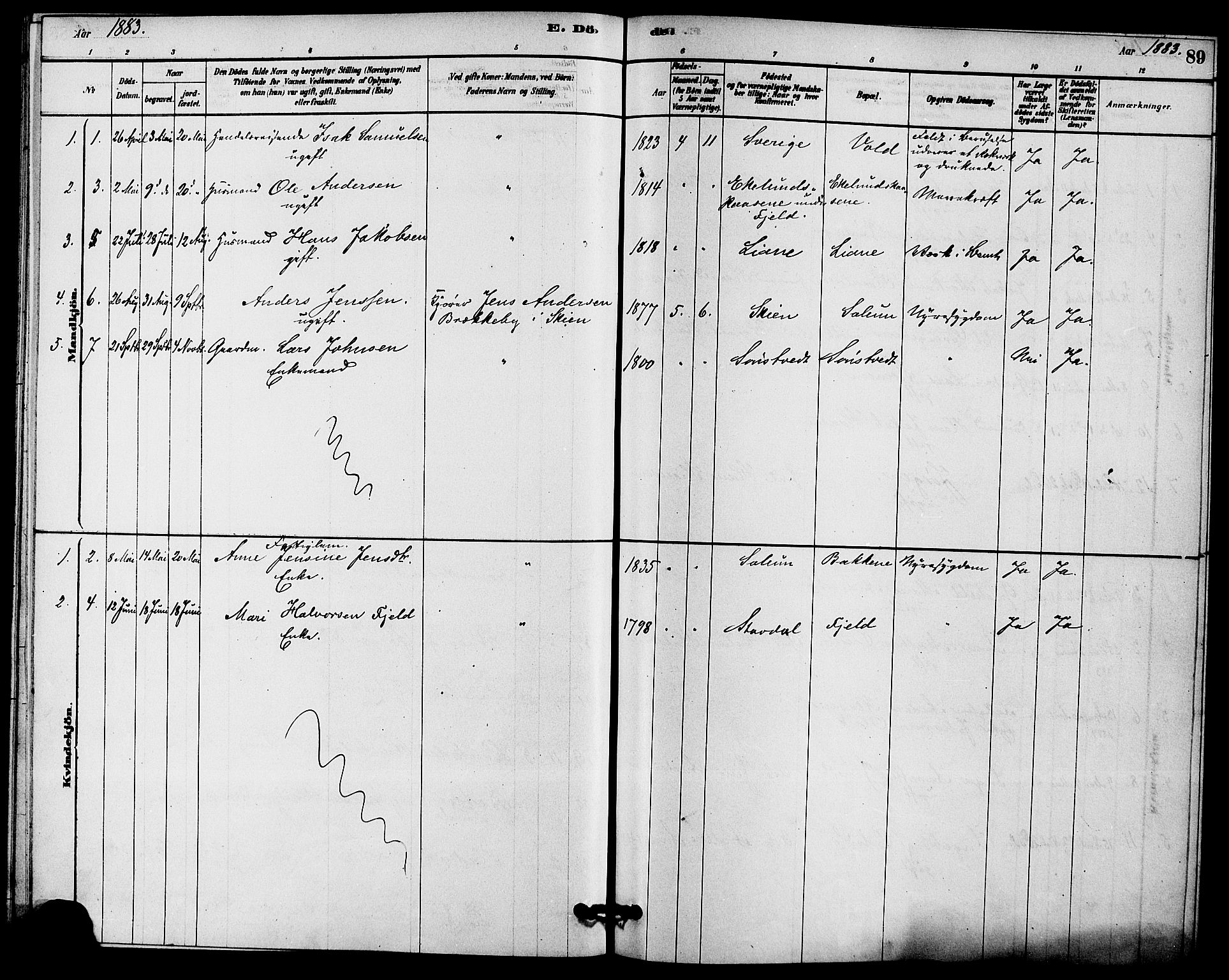 Solum kirkebøker, SAKO/A-306/F/Fc/L0001: Parish register (official) no. III 1, 1877-1891, p. 89