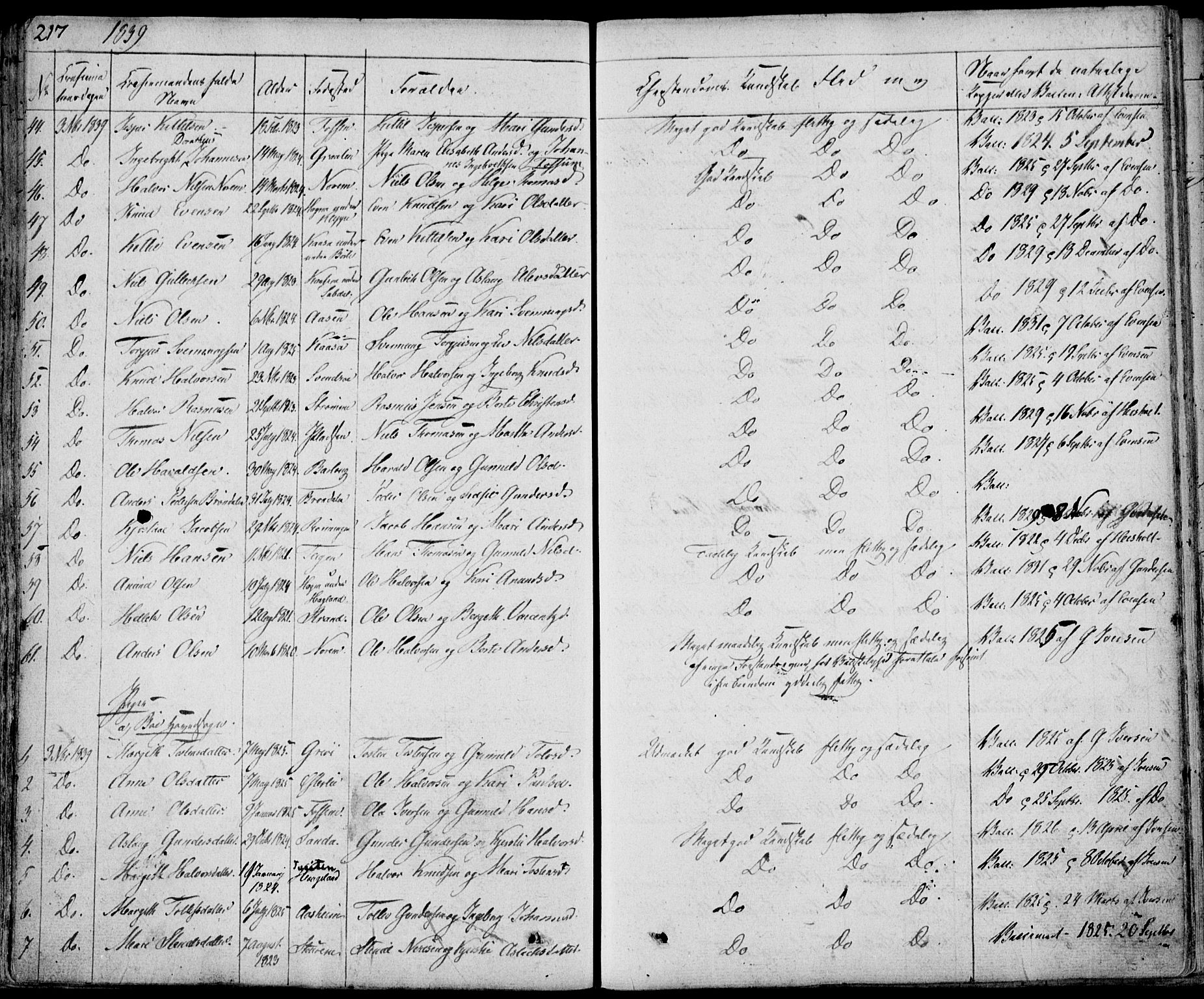 Bø kirkebøker, AV/SAKO-A-257/F/Fa/L0007: Parish register (official) no. 7, 1831-1848, p. 217