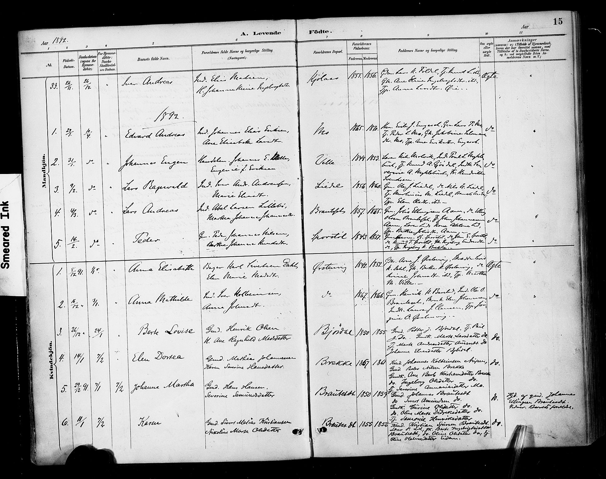 Ministerialprotokoller, klokkerbøker og fødselsregistre - Møre og Romsdal, AV/SAT-A-1454/513/L0177: Parish register (official) no. 513A04, 1890-1906, p. 15