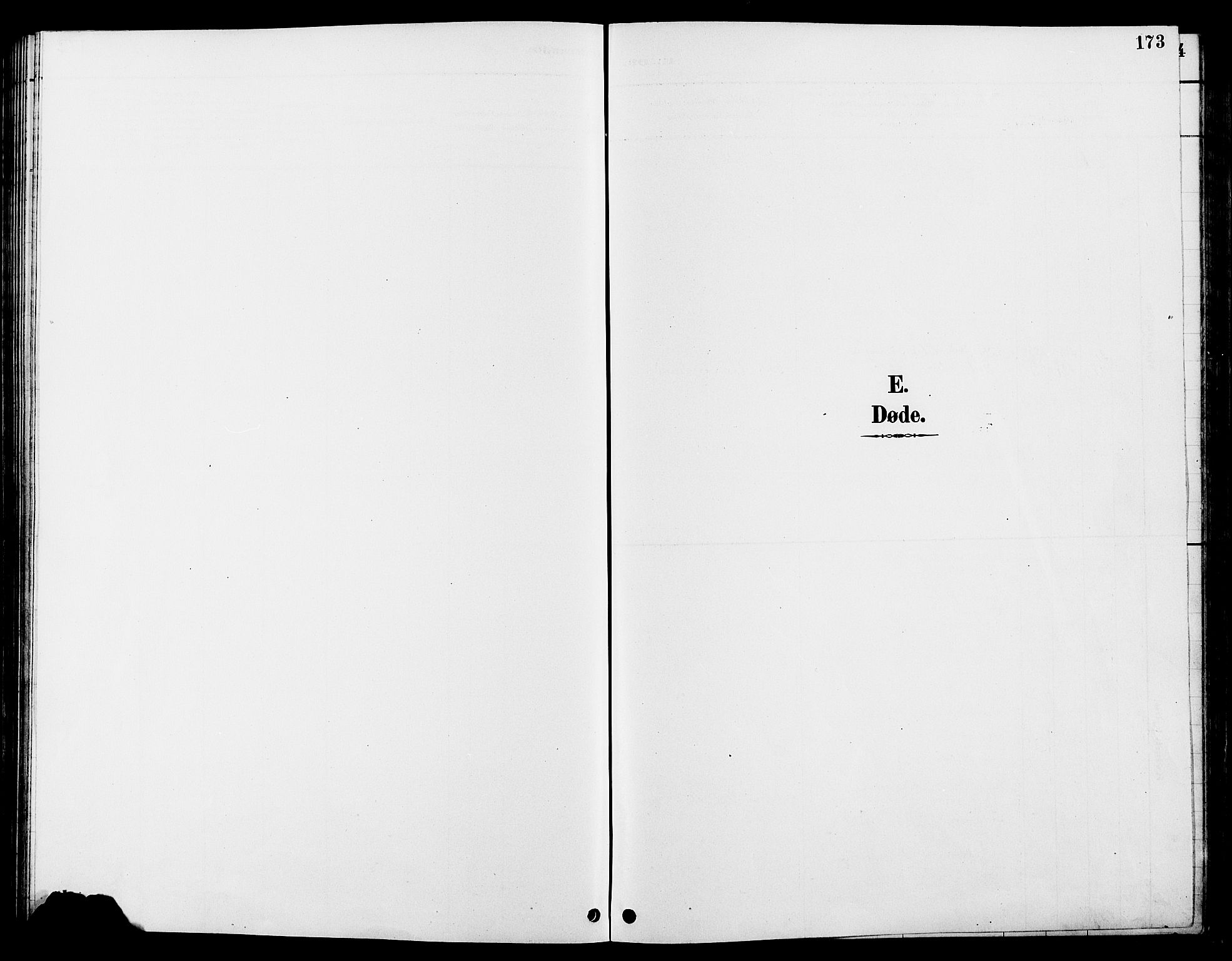 Tolga prestekontor, SAH/PREST-062/L/L0008: Parish register (copy) no. 8, 1887-1912, p. 173