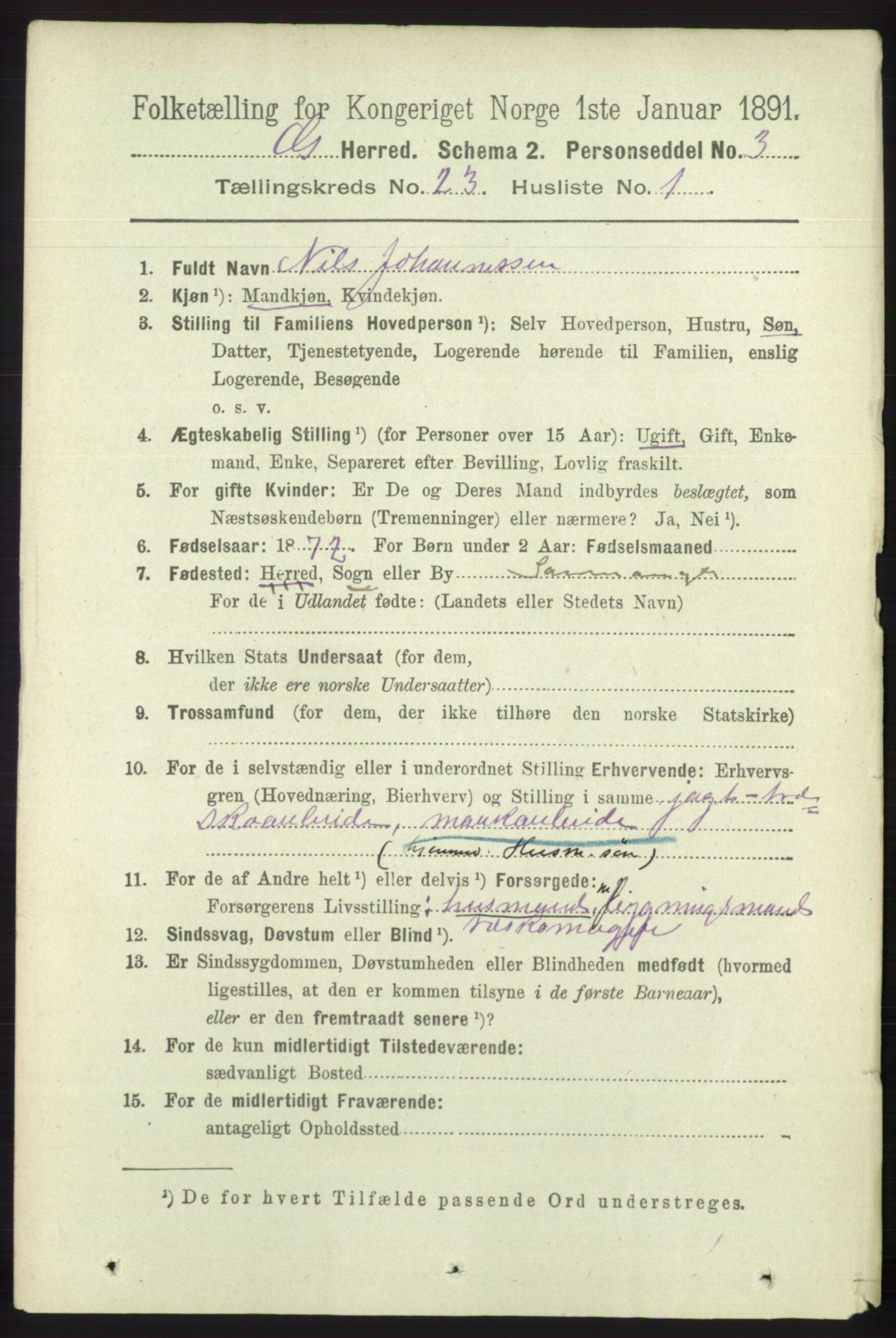 RA, 1891 census for 1243 Os, 1891, p. 5068