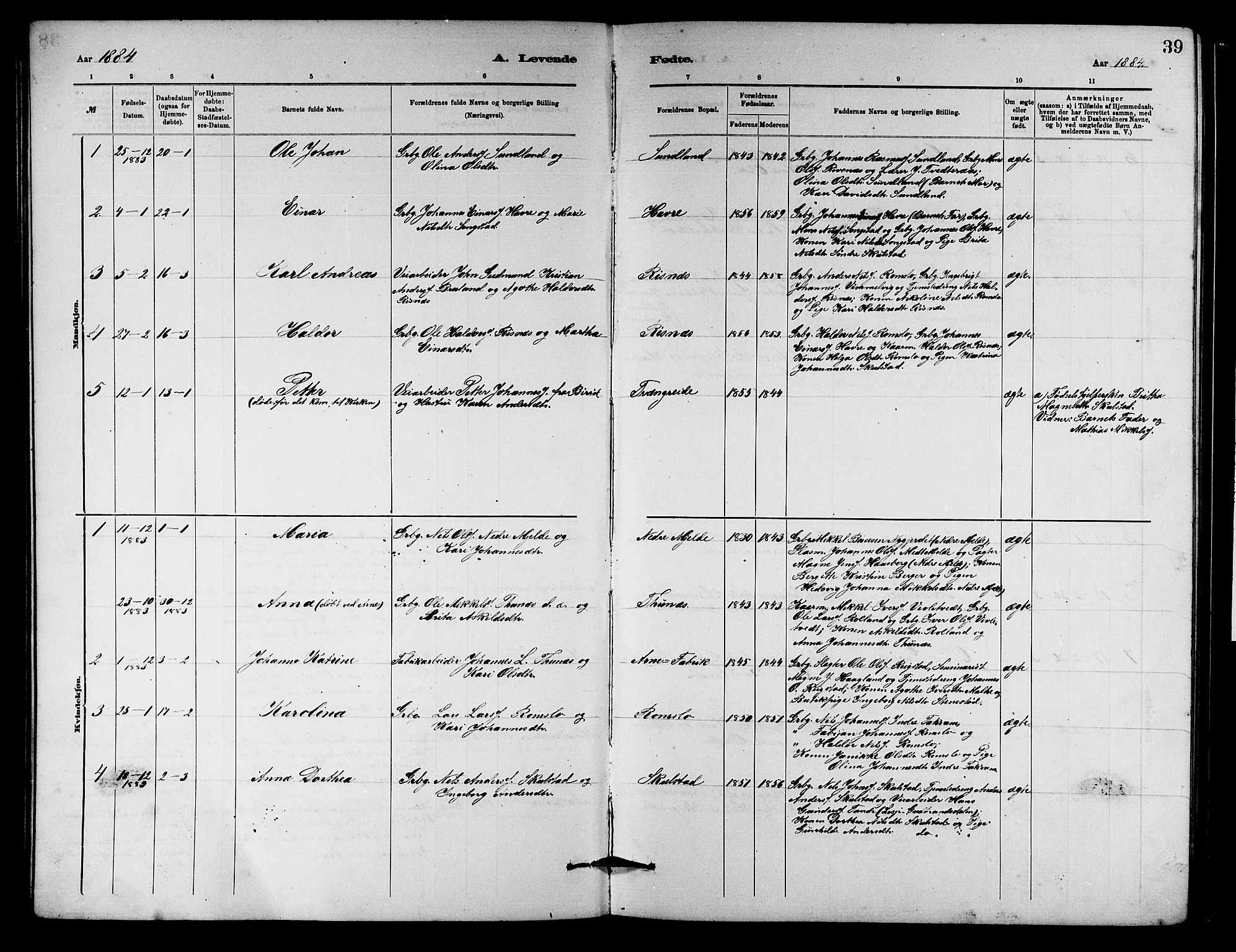 Haus sokneprestembete, SAB/A-75601/H/Hab: Parish register (copy) no. B 2, 1878-1884, p. 39