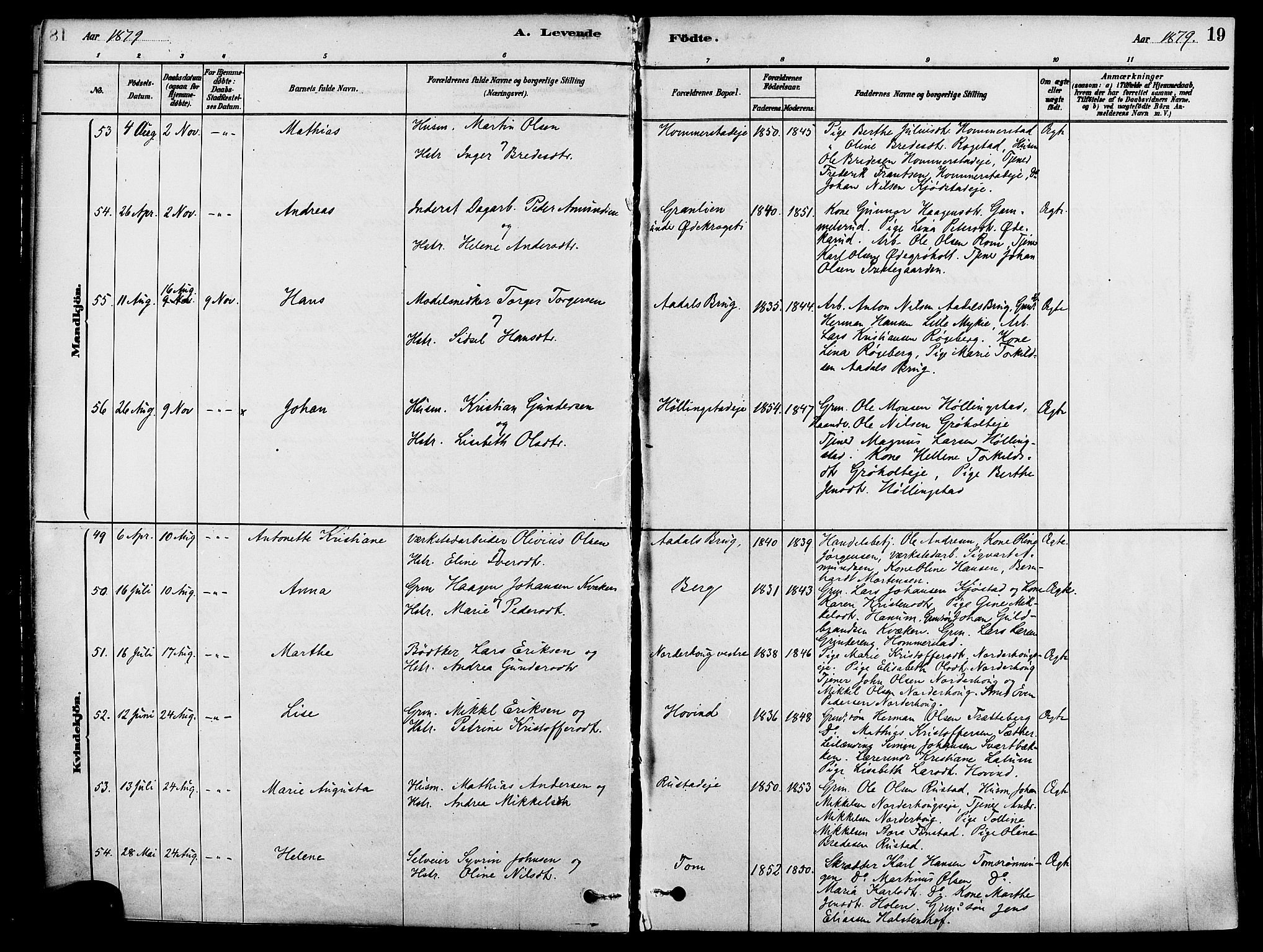 Løten prestekontor, AV/SAH-PREST-022/K/Ka/L0009: Parish register (official) no. 9, 1878-1891, p. 19