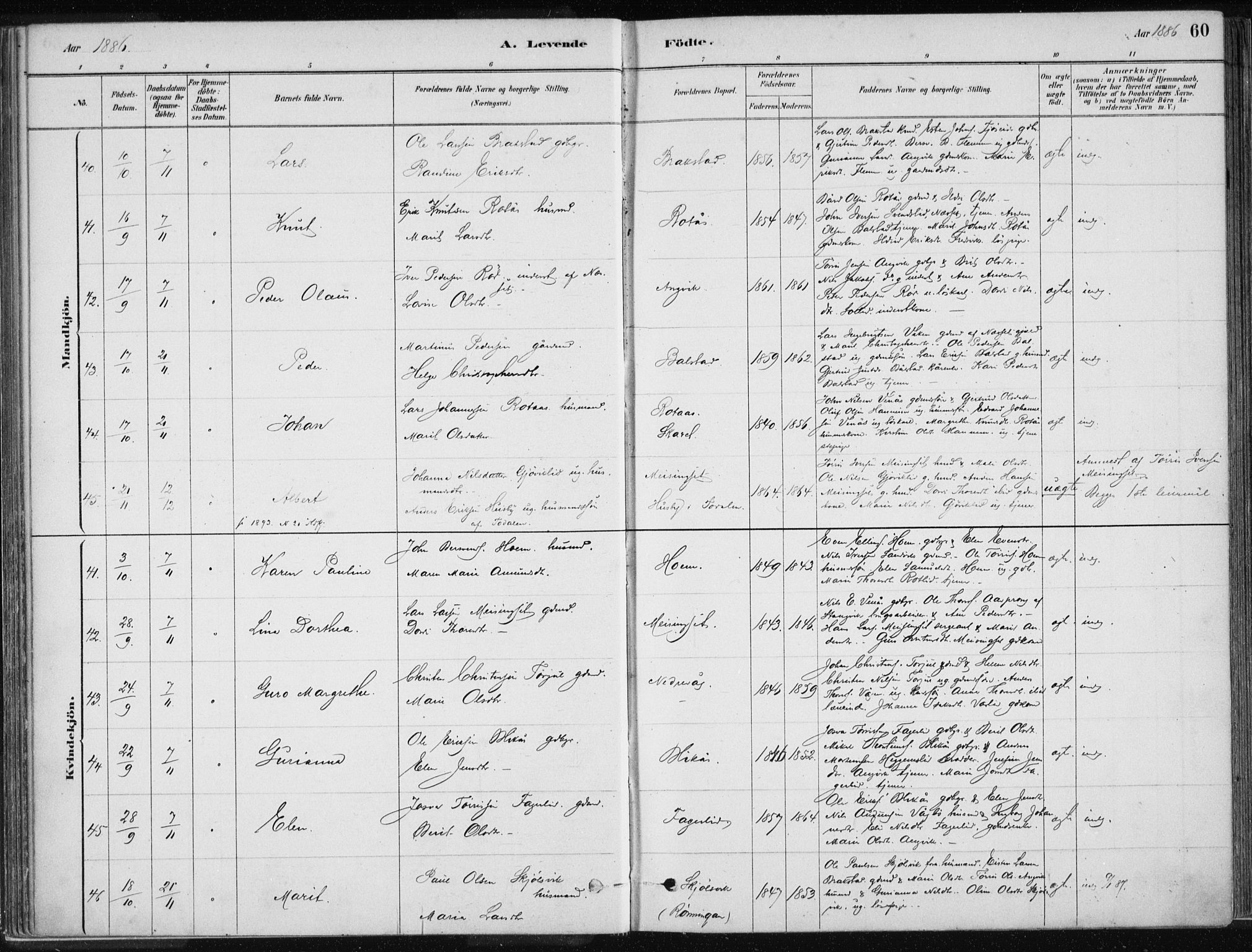 Ministerialprotokoller, klokkerbøker og fødselsregistre - Møre og Romsdal, SAT/A-1454/586/L0987: Parish register (official) no. 586A13, 1879-1892, p. 60