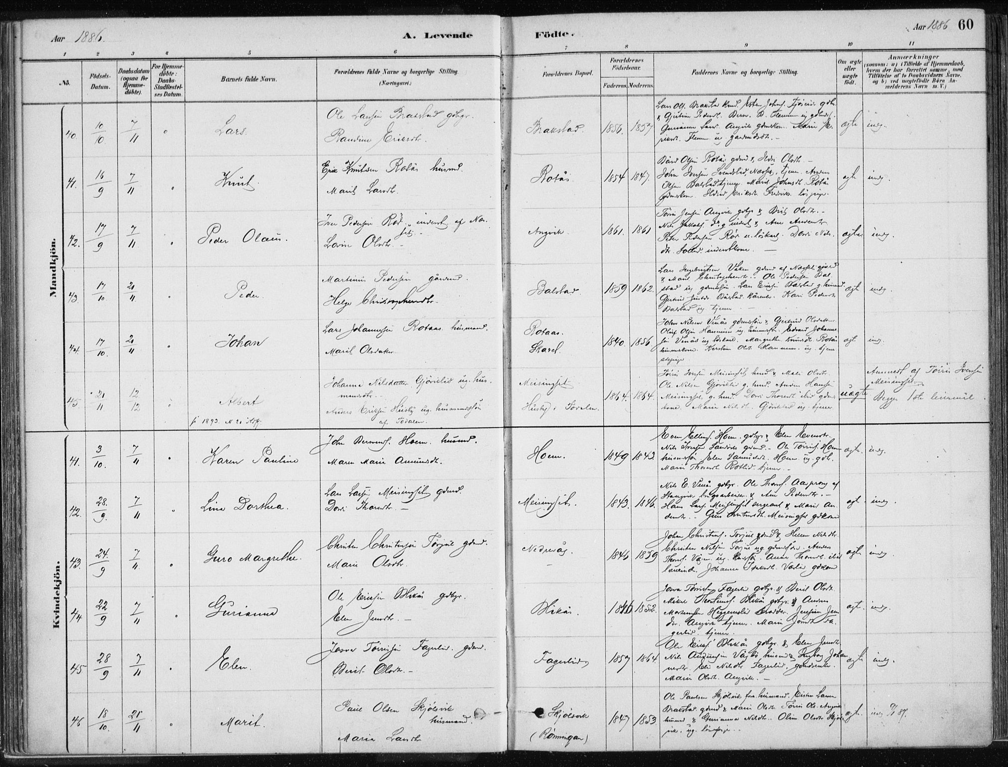 Ministerialprotokoller, klokkerbøker og fødselsregistre - Møre og Romsdal, AV/SAT-A-1454/586/L0987: Parish register (official) no. 586A13, 1879-1892, p. 60