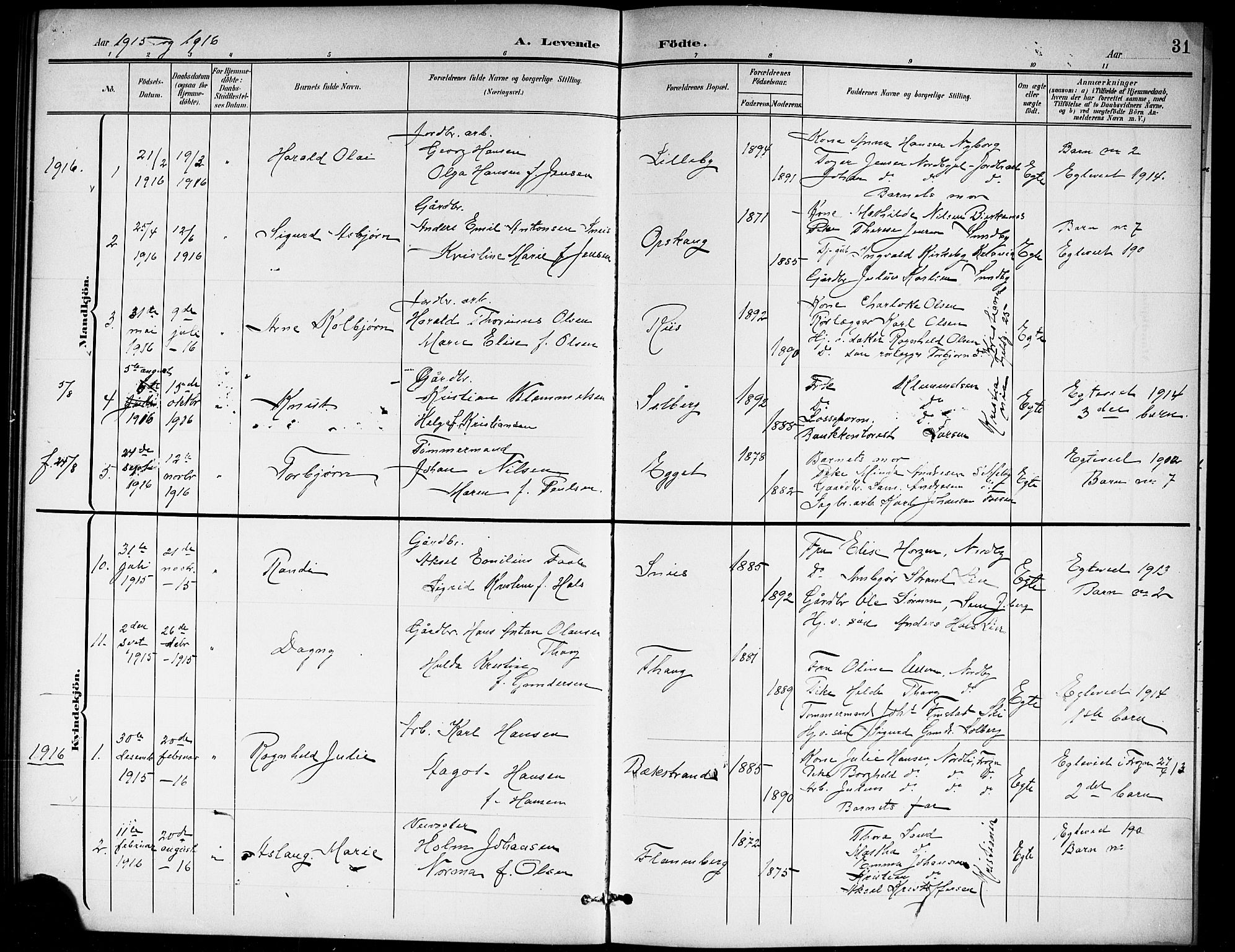 Ås prestekontor Kirkebøker, SAO/A-10894/G/Gb/L0001: Parish register (copy) no. II 1, 1901-1920, p. 31