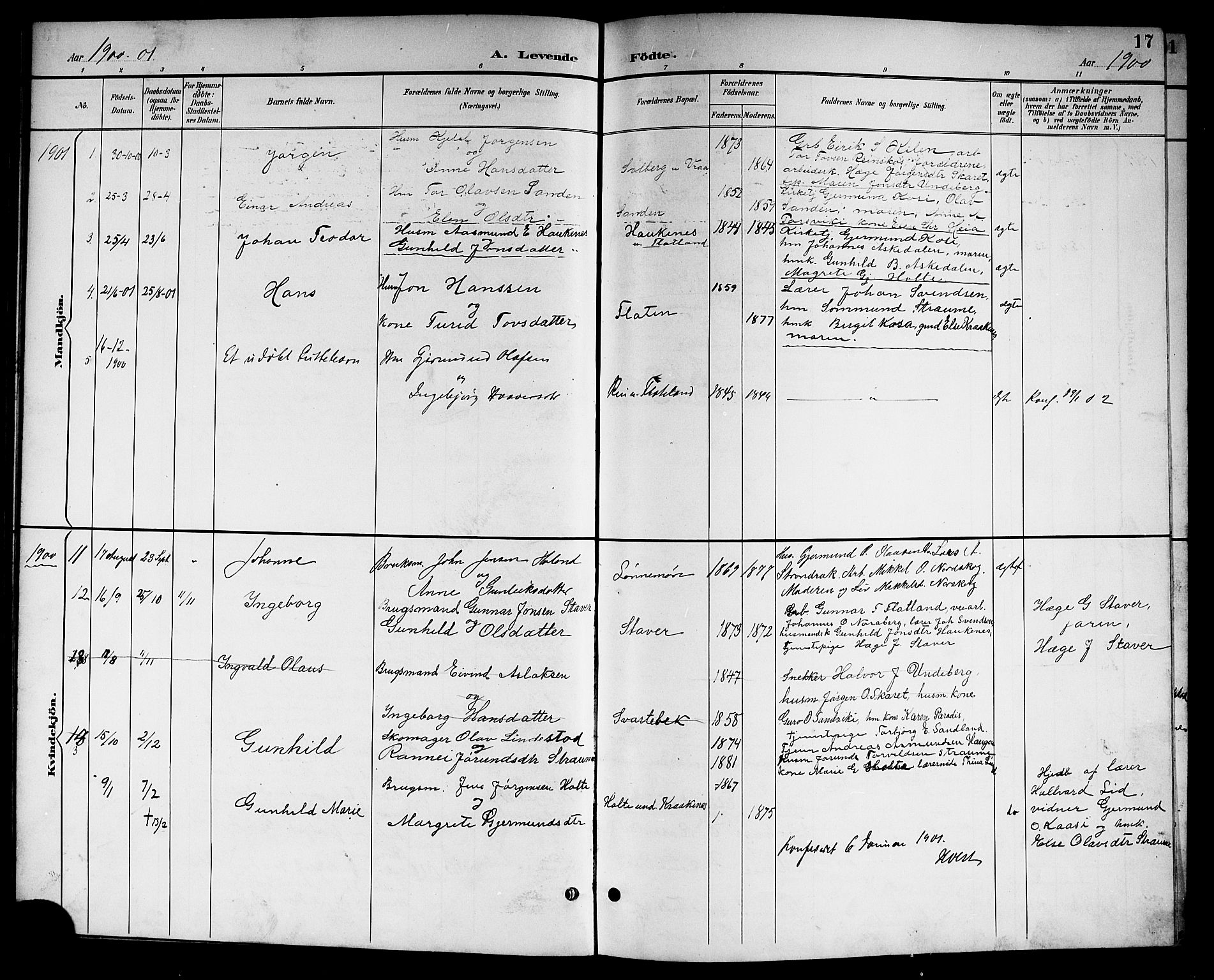 Kviteseid kirkebøker, SAKO/A-276/G/Gc/L0001: Parish register (copy) no. III 1, 1893-1916, p. 17