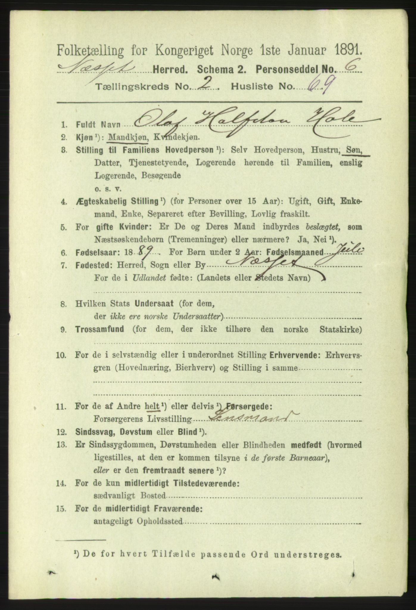 RA, 1891 census for 1543 Nesset, 1891, p. 1029