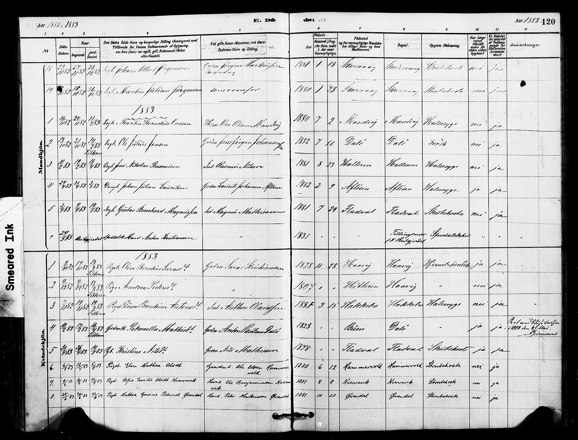Ministerialprotokoller, klokkerbøker og fødselsregistre - Sør-Trøndelag, AV/SAT-A-1456/641/L0595: Parish register (official) no. 641A01, 1882-1897, p. 120