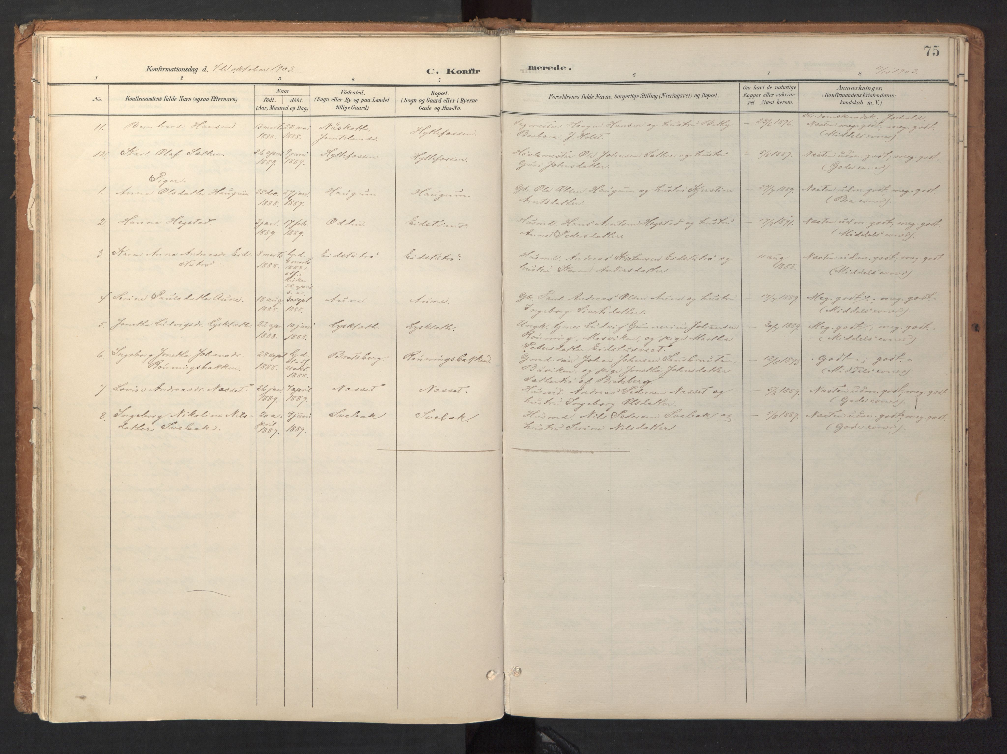 Ministerialprotokoller, klokkerbøker og fødselsregistre - Sør-Trøndelag, SAT/A-1456/618/L0448: Parish register (official) no. 618A11, 1898-1916, p. 75