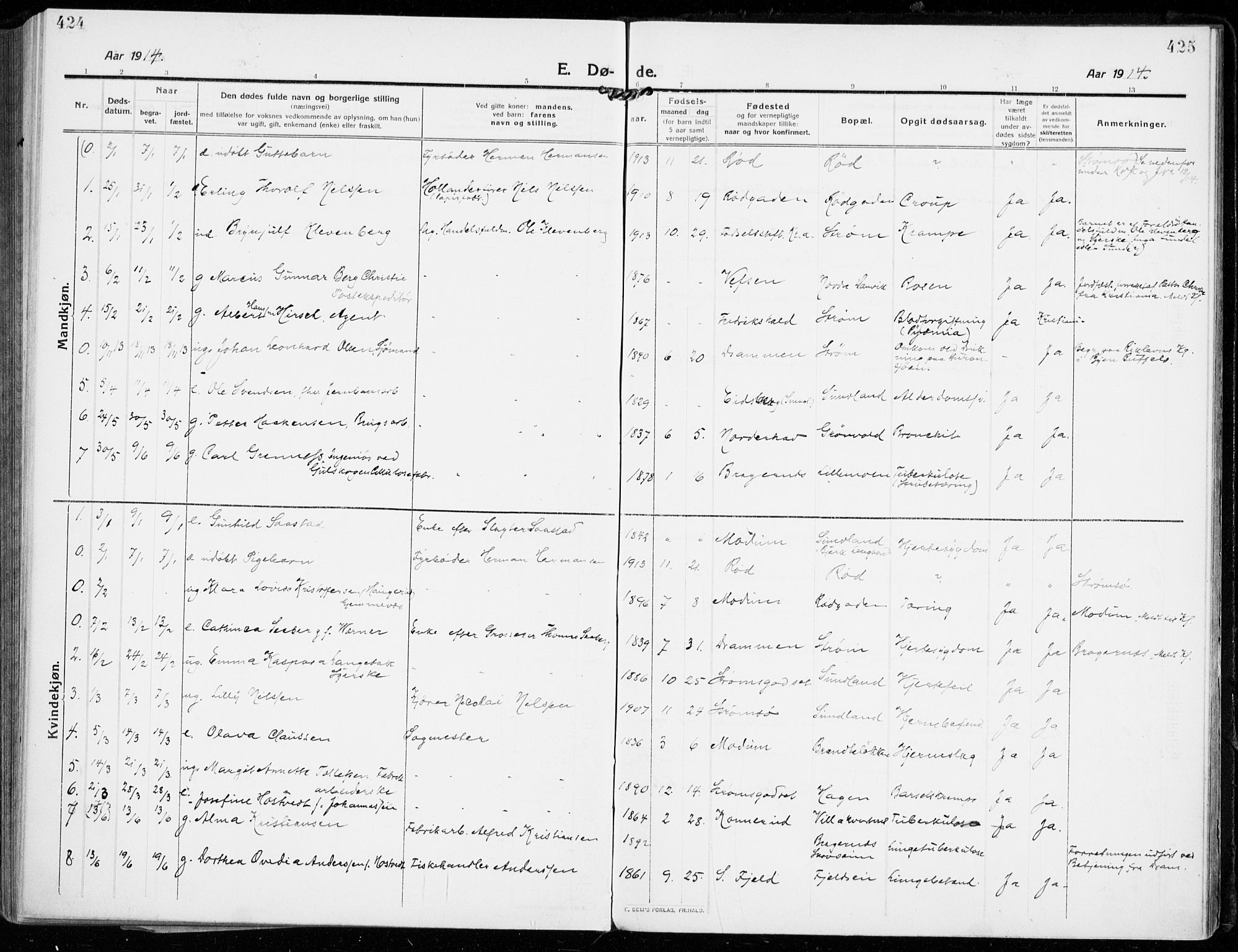 Strømsgodset kirkebøker, SAKO/A-324/F/Fa/L0002: Parish register (official) no. 2, 1910-1920, p. 424-425