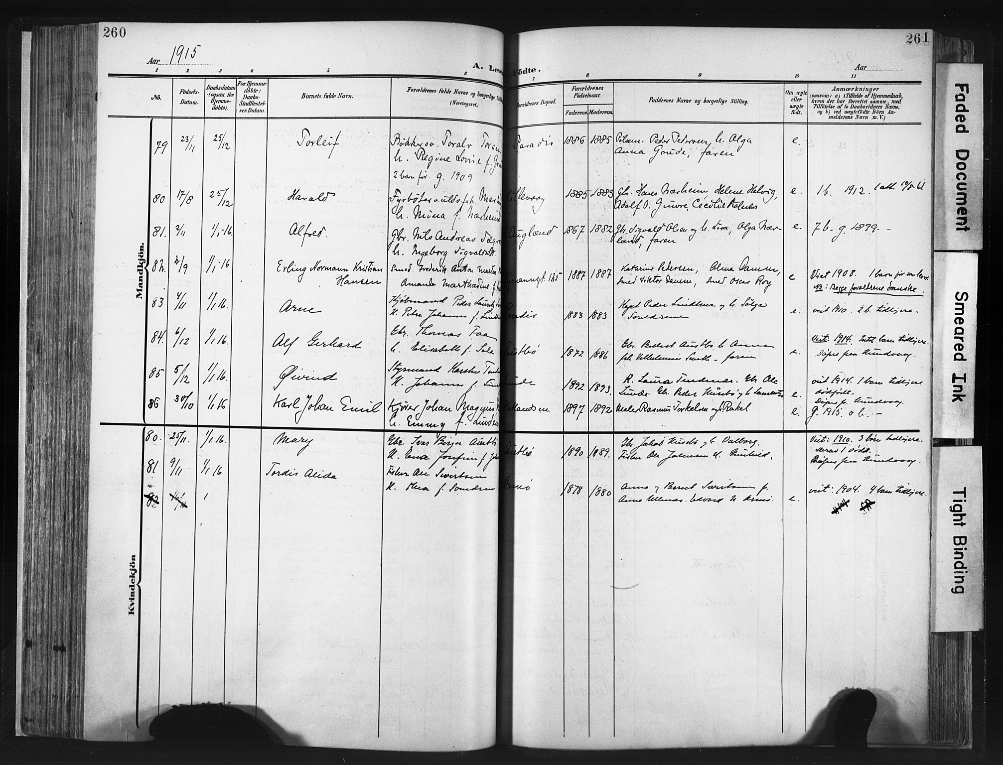 Hetland sokneprestkontor, SAST/A-101826/30/30BA/L0013: Parish register (official) no. A 13, 1904-1918, p. 260-261