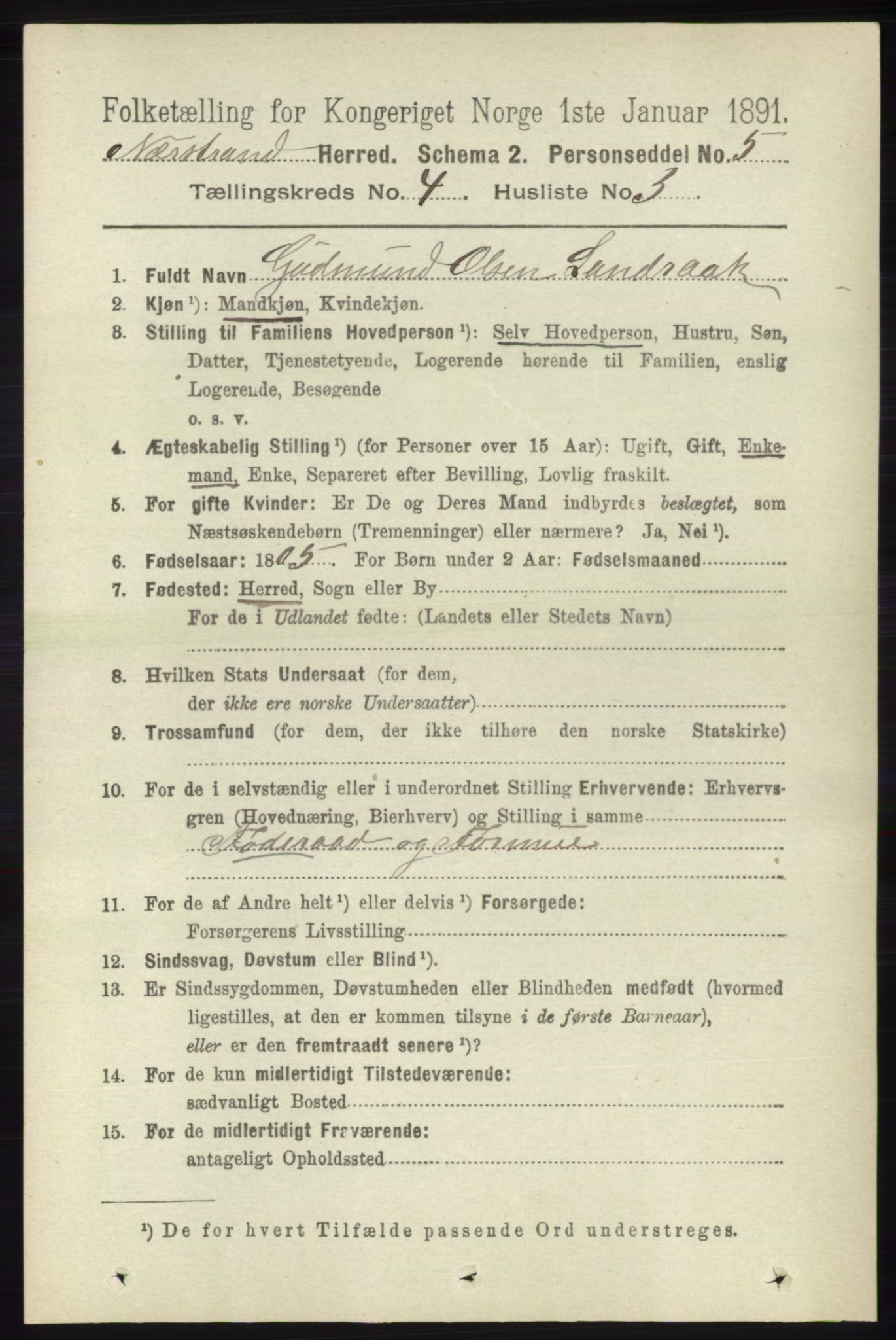 RA, 1891 census for 1139 Nedstrand, 1891, p. 658