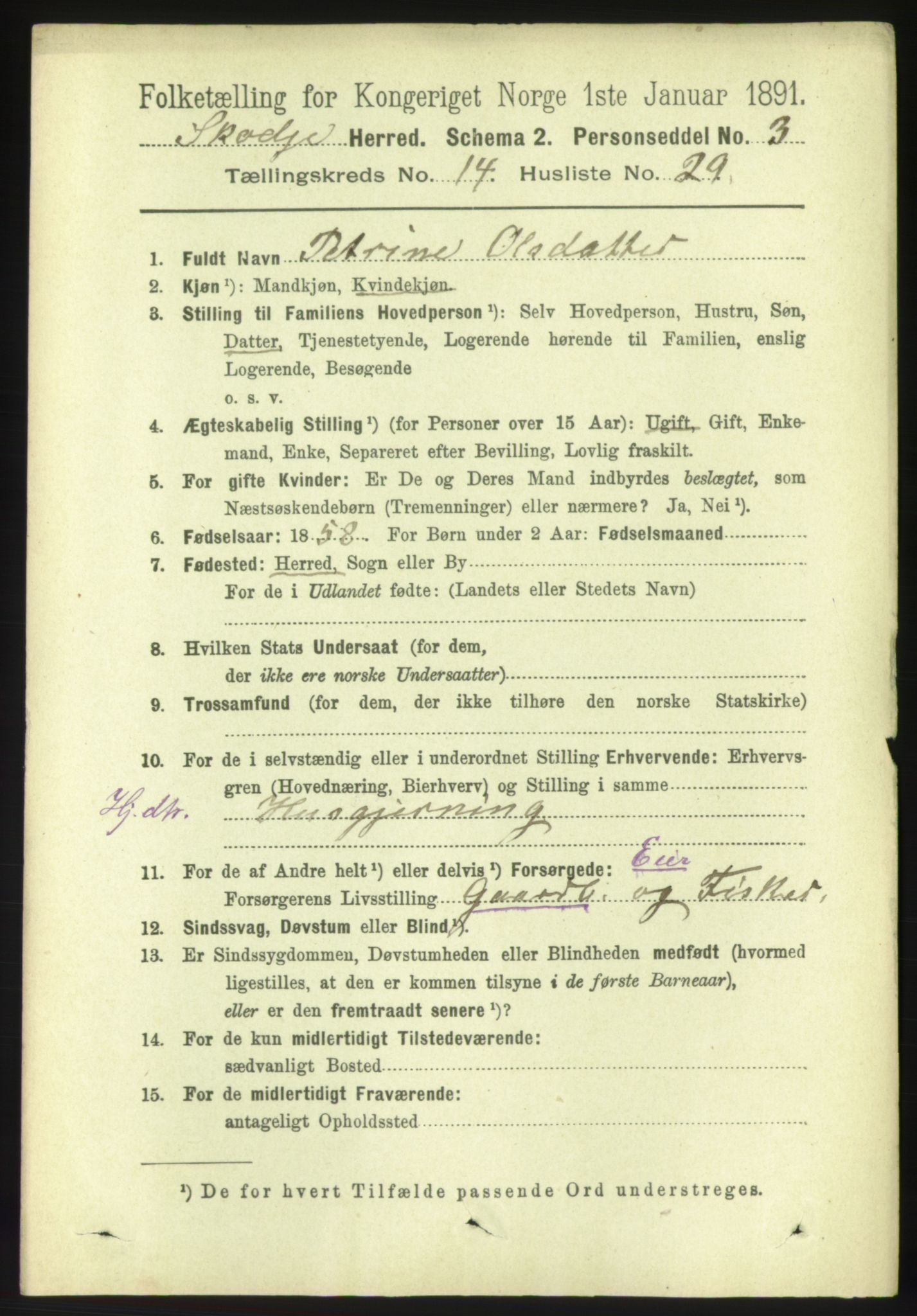 RA, 1891 census for 1529 Skodje, 1891, p. 3179