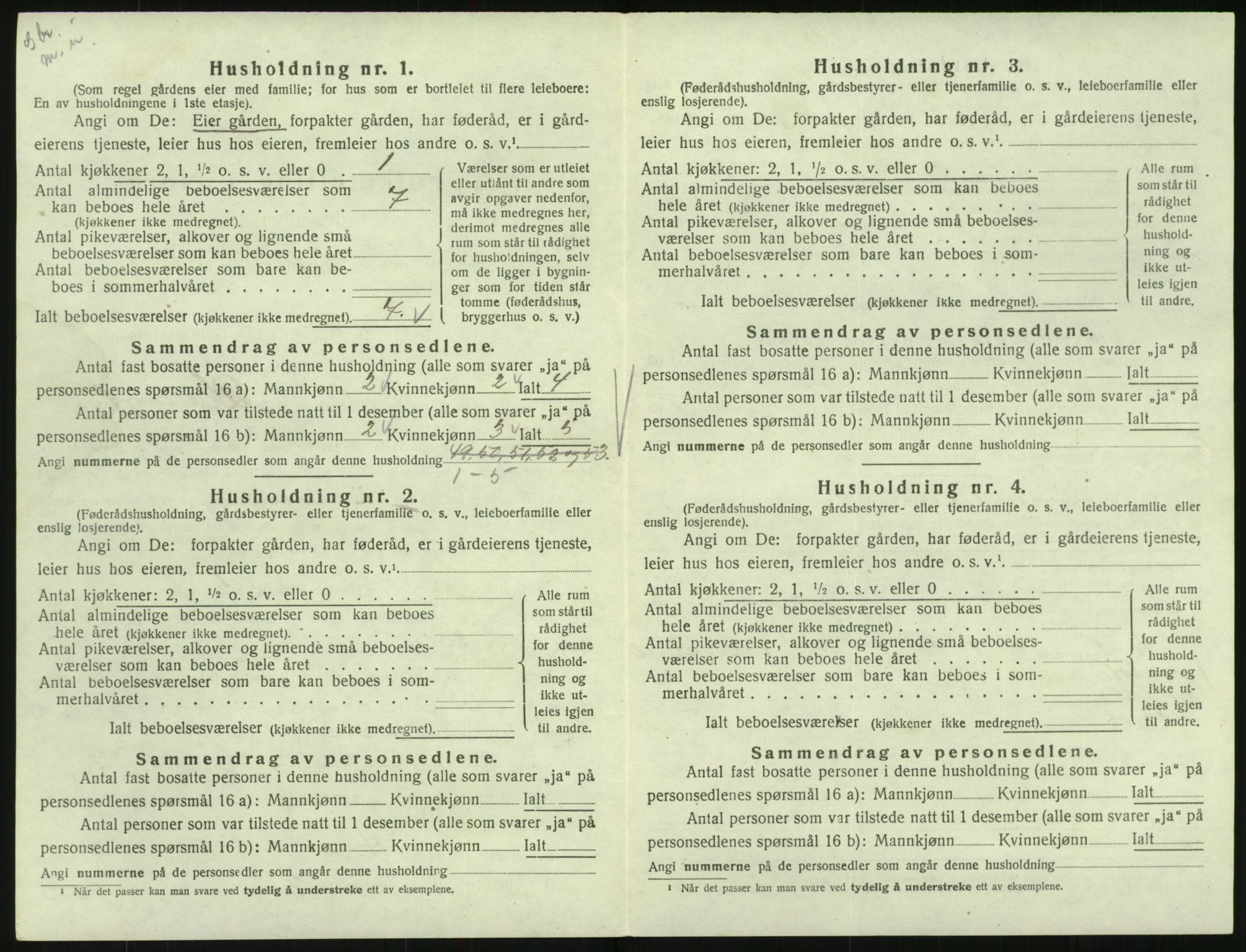 SAK, 1920 census for Hornnes, 1920, p. 224