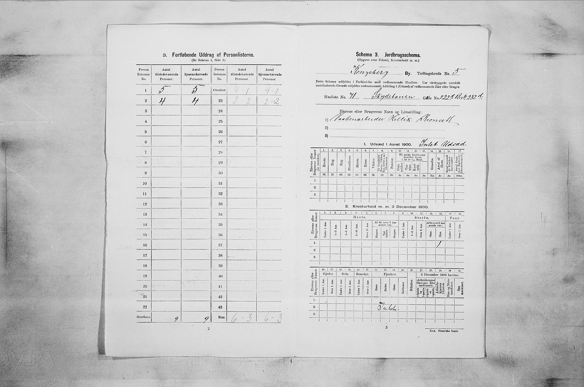 RA, 1900 census for Kongsberg, 1900, p. 1032