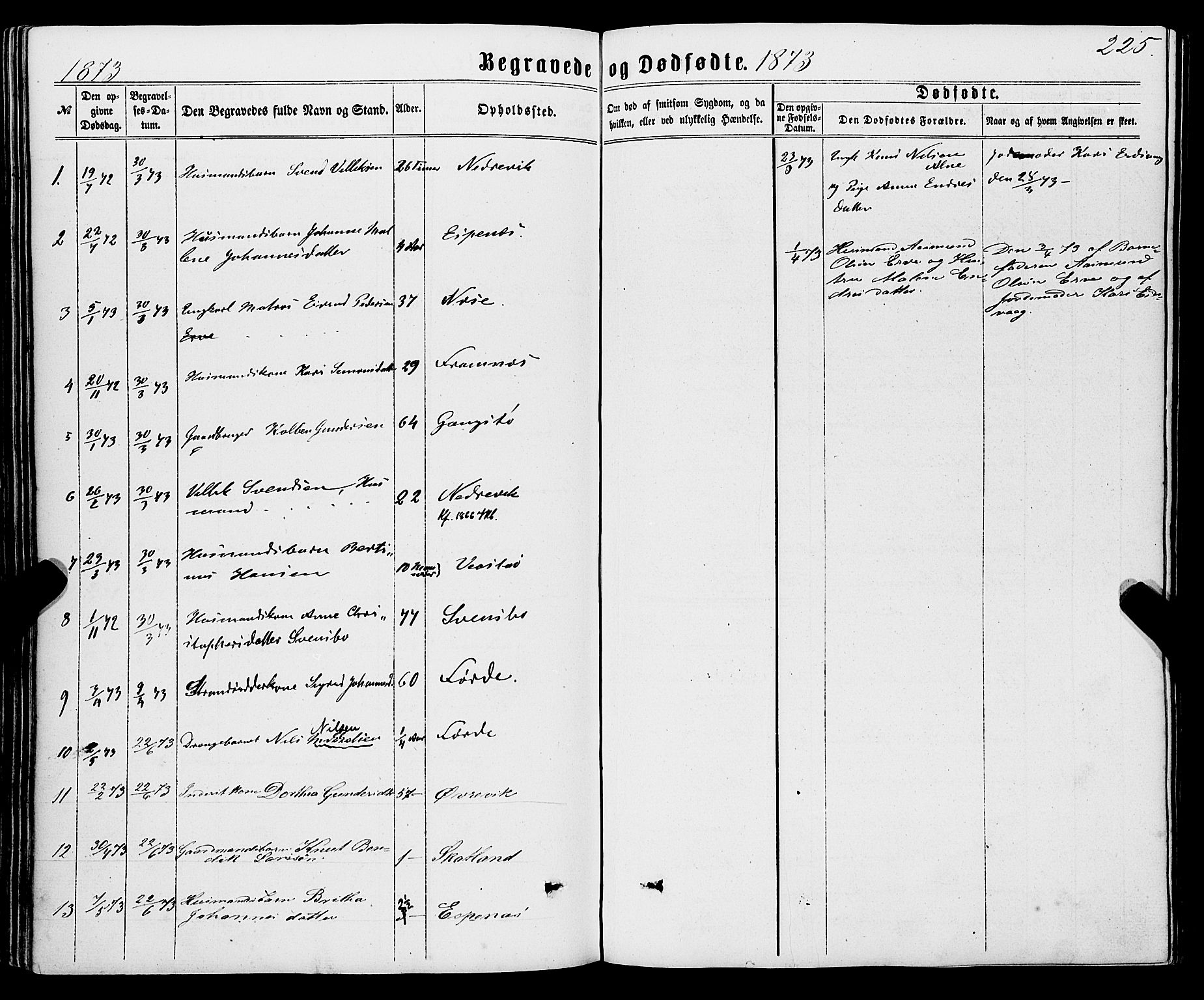 Sveio Sokneprestembete, AV/SAB-A-78501/H/Haa: Parish register (official) no. A 1, 1861-1877, p. 225