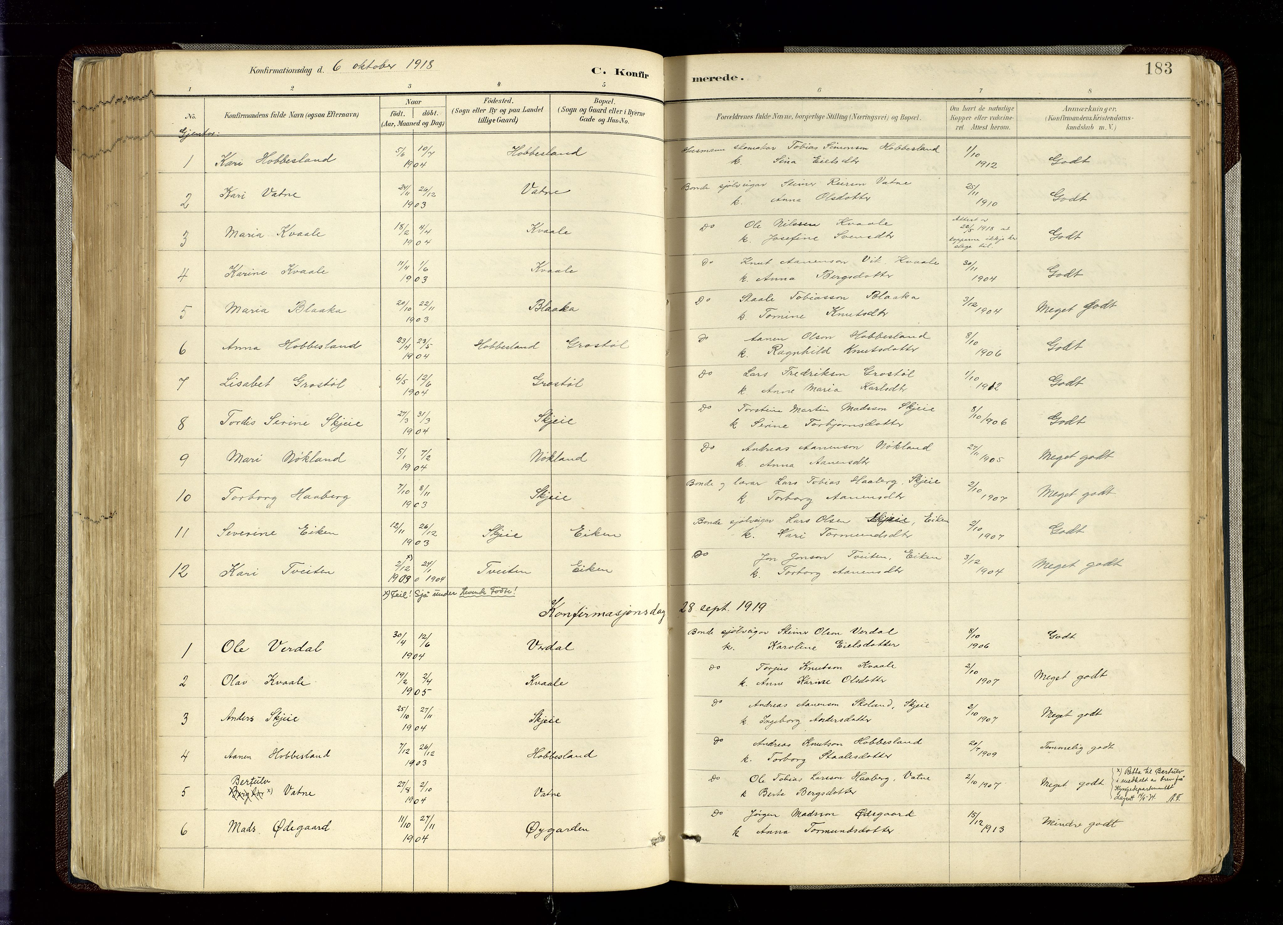 Hægebostad sokneprestkontor, AV/SAK-1111-0024/F/Fa/Fab/L0004: Parish register (official) no. A 4, 1887-1929, p. 183