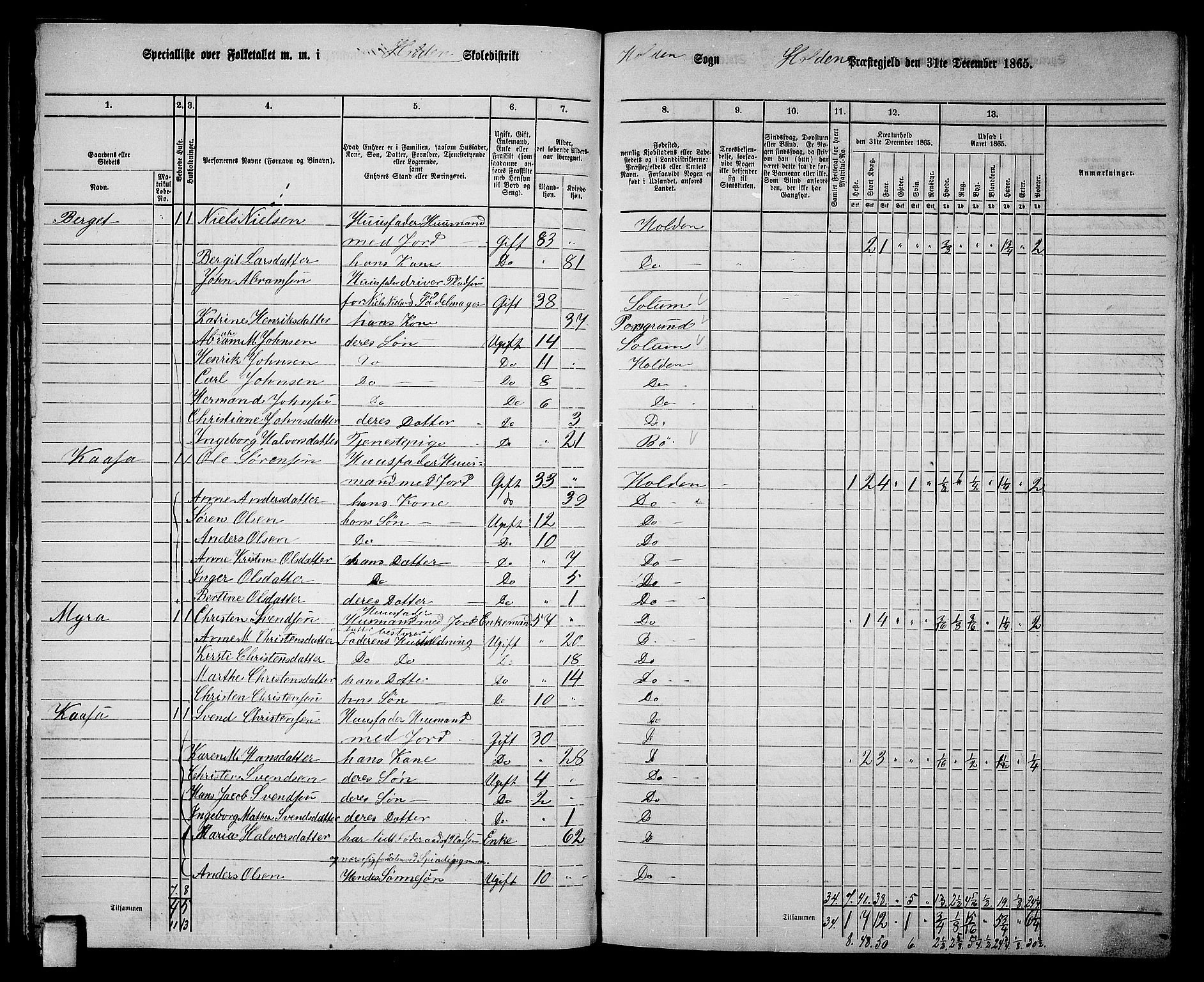 RA, 1865 census for Holla, 1865, p. 31