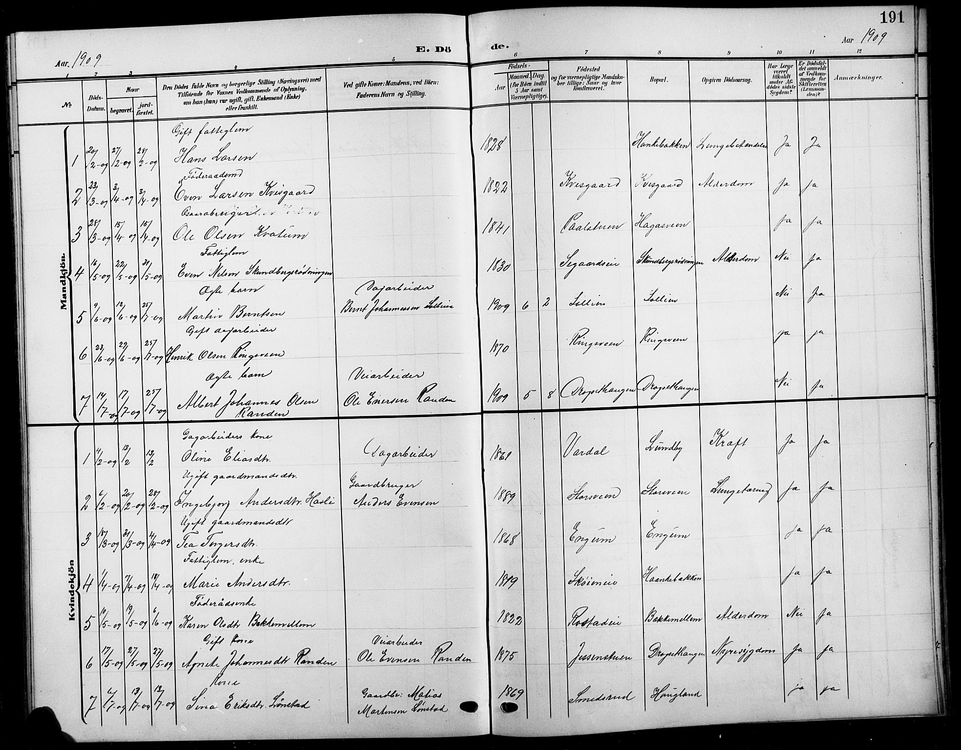Biri prestekontor, SAH/PREST-096/H/Ha/Hab/L0005: Parish register (copy) no. 5, 1906-1919, p. 191