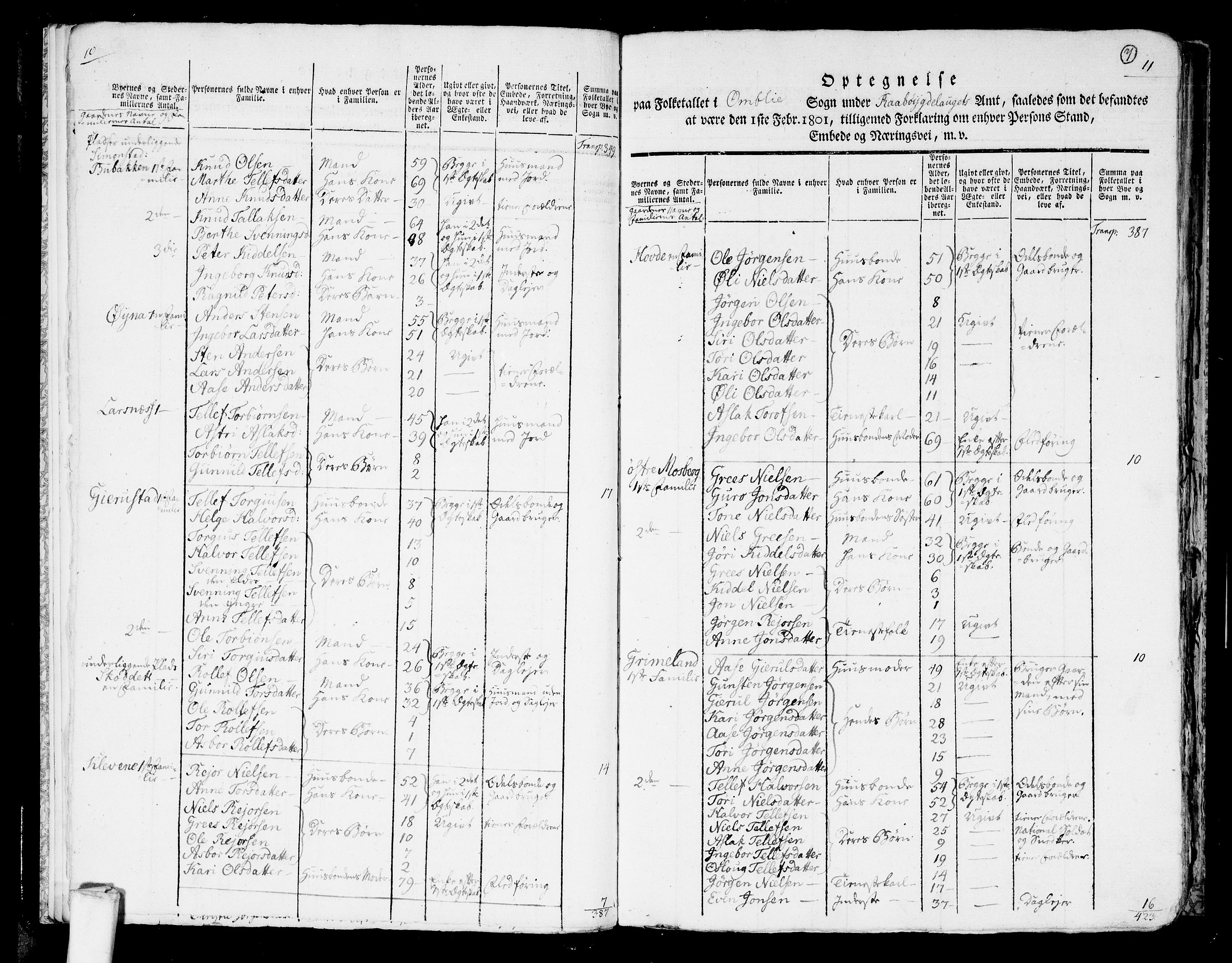 RA, 1801 census for 0929P Åmli, 1801, p. 6b-7a