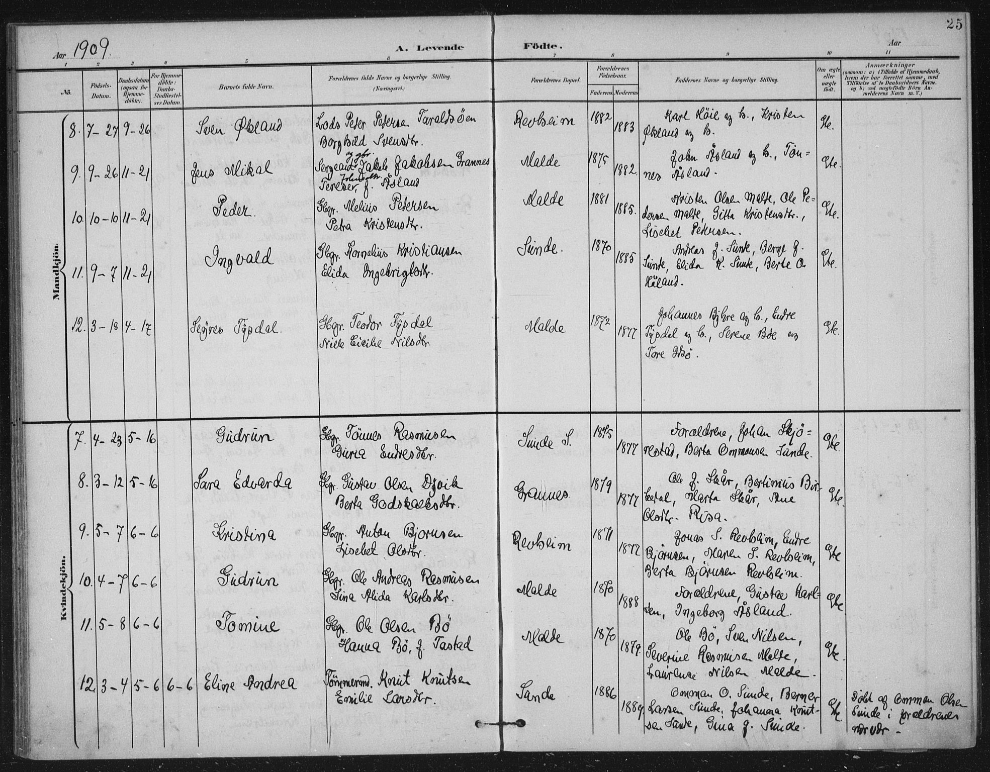 Håland sokneprestkontor, AV/SAST-A-101802/002/B/L0001: Parish register (official) no. A 13, 1901-1923, p. 25