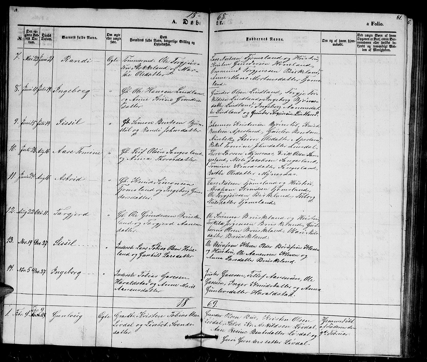 Holum sokneprestkontor, SAK/1111-0022/F/Fb/Fbb/L0002: Parish register (copy) no. B 2, 1847-1874, p. 81