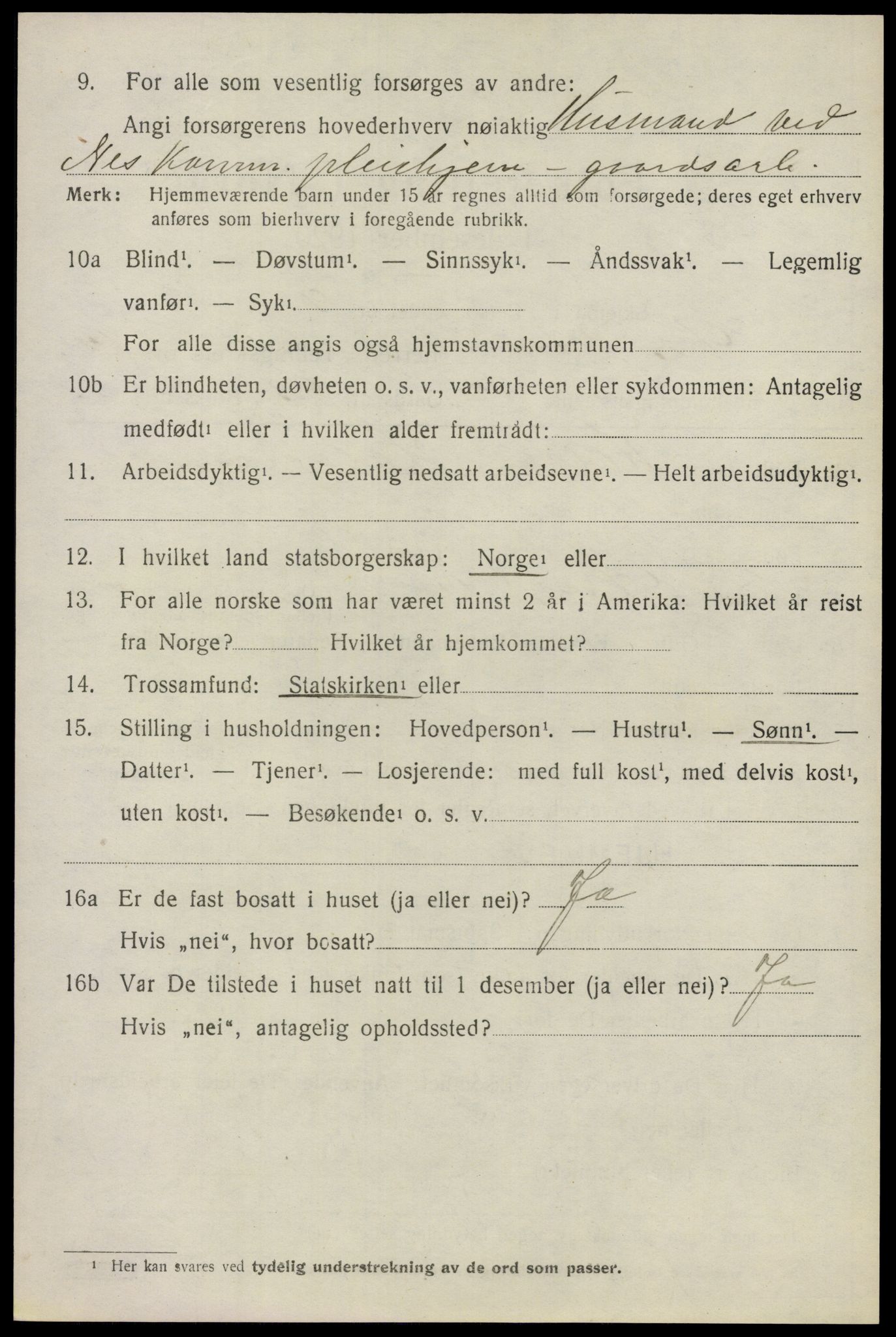 SAO, 1920 census for Nes, 1920, p. 12377