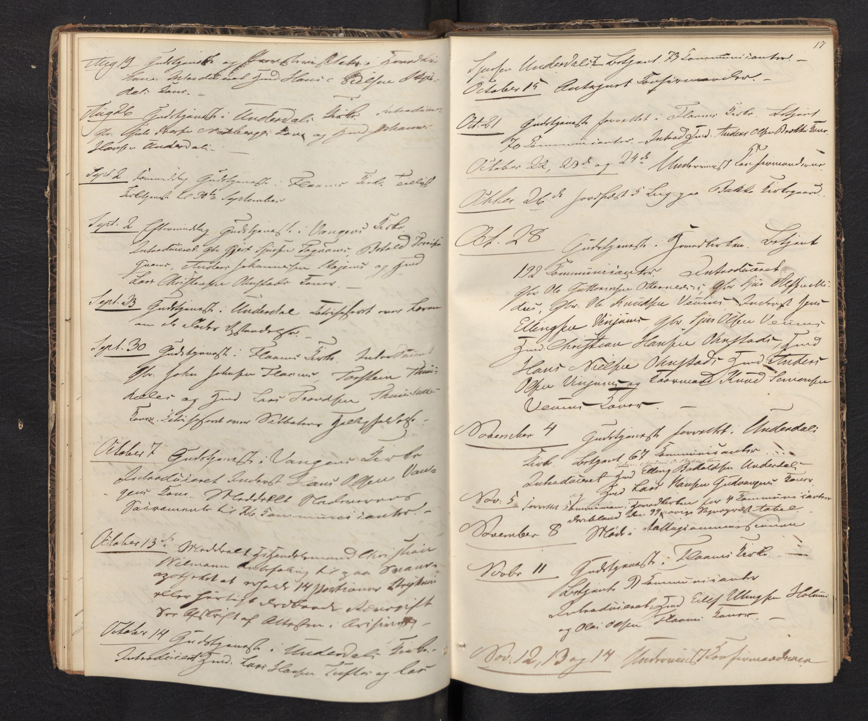 Aurland sokneprestembete, AV/SAB-A-99937/H/Ha/Haf: Diary records no. F 0, 1844-1876, p. 16b-17a