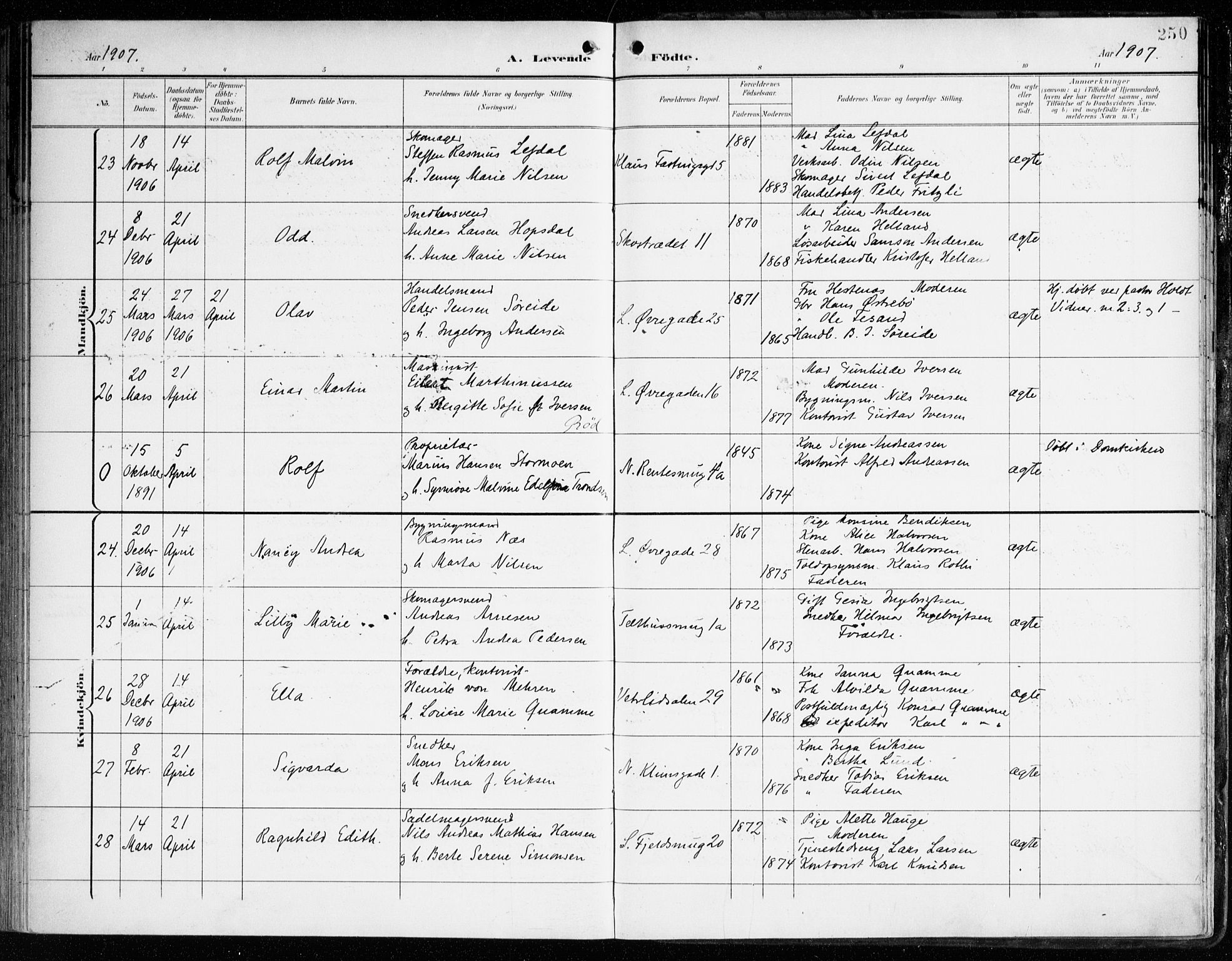 Korskirken sokneprestembete, SAB/A-76101/H/Haa/L0023: Parish register (official) no. B 9, 1899-1908, p. 250