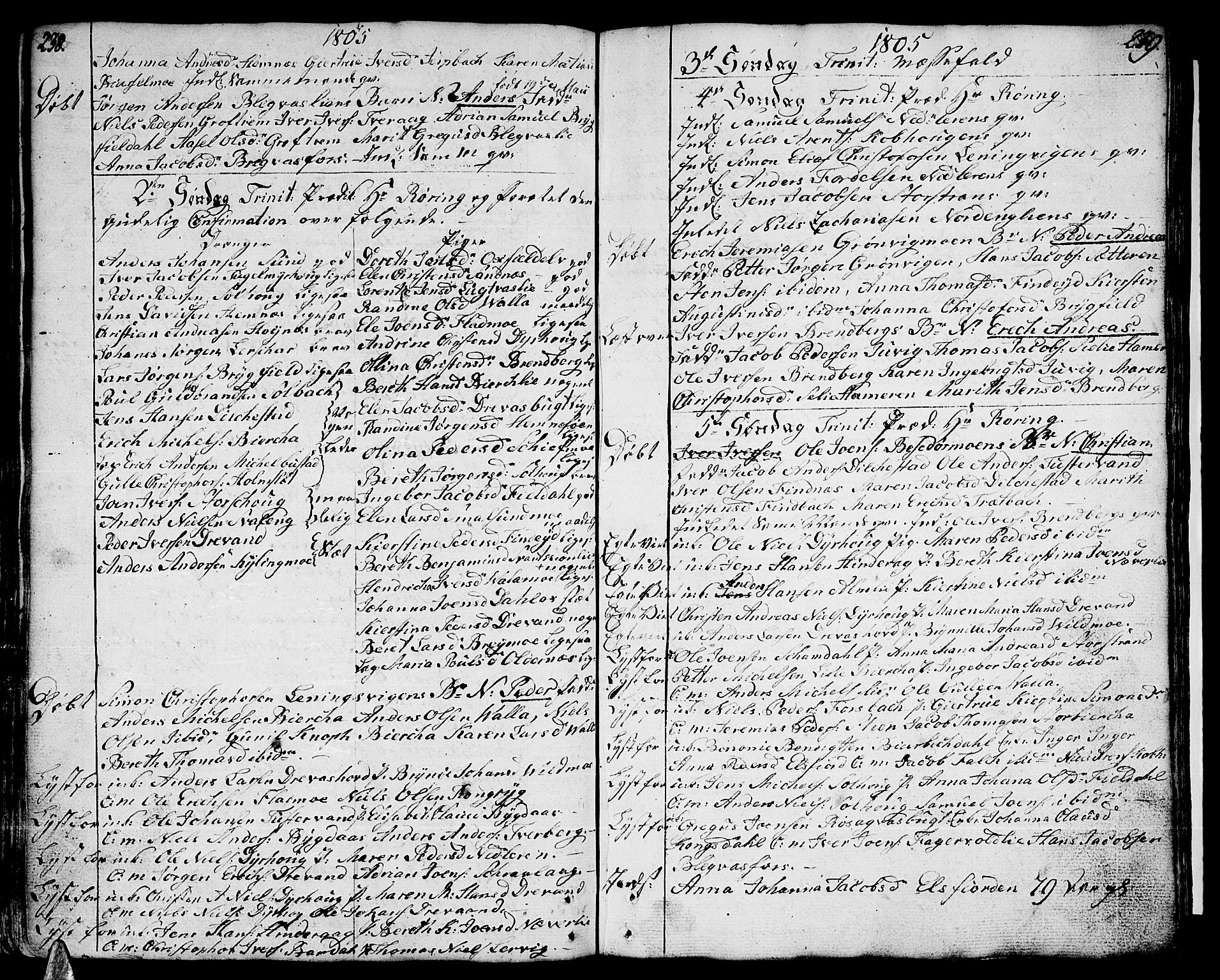 Ministerialprotokoller, klokkerbøker og fødselsregistre - Nordland, SAT/A-1459/825/L0349: Parish register (official) no. 825A05 /1, 1789-1806, p. 238-239
