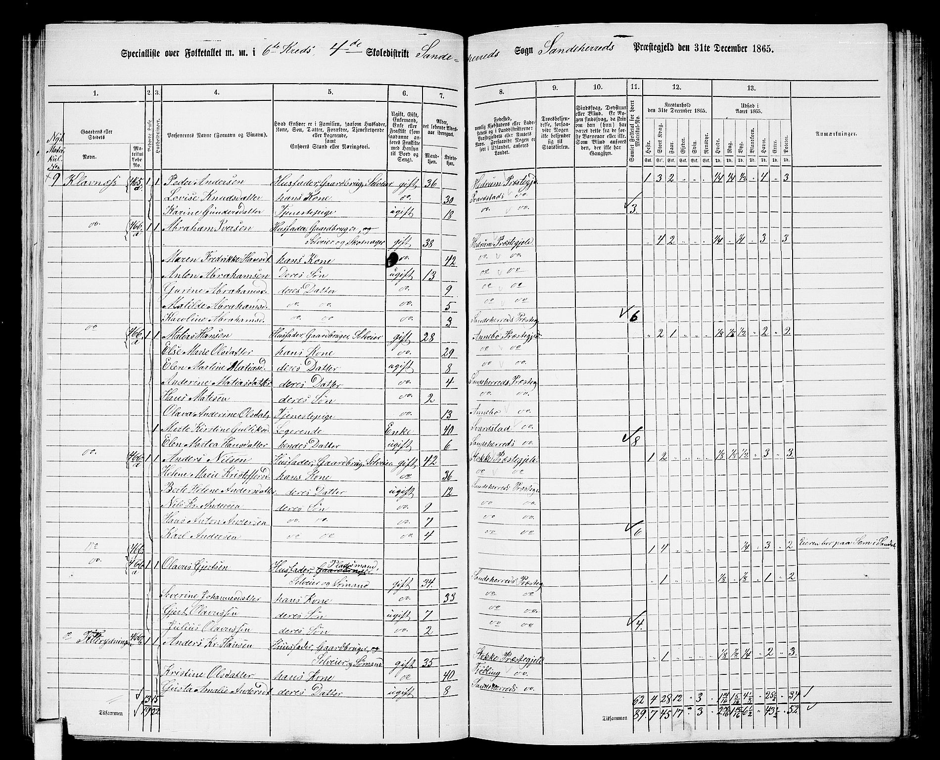 RA, 1865 census for Sandeherred/Sandeherred, 1865, p. 110