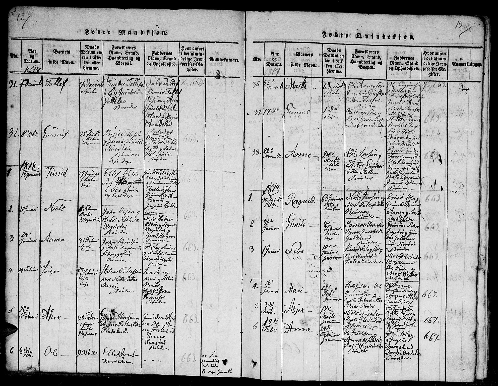 Evje sokneprestkontor, SAK/1111-0008/F/Fb/Fba/L0001: Parish register (copy) no. B 1, 1816-1842, p. 12-13