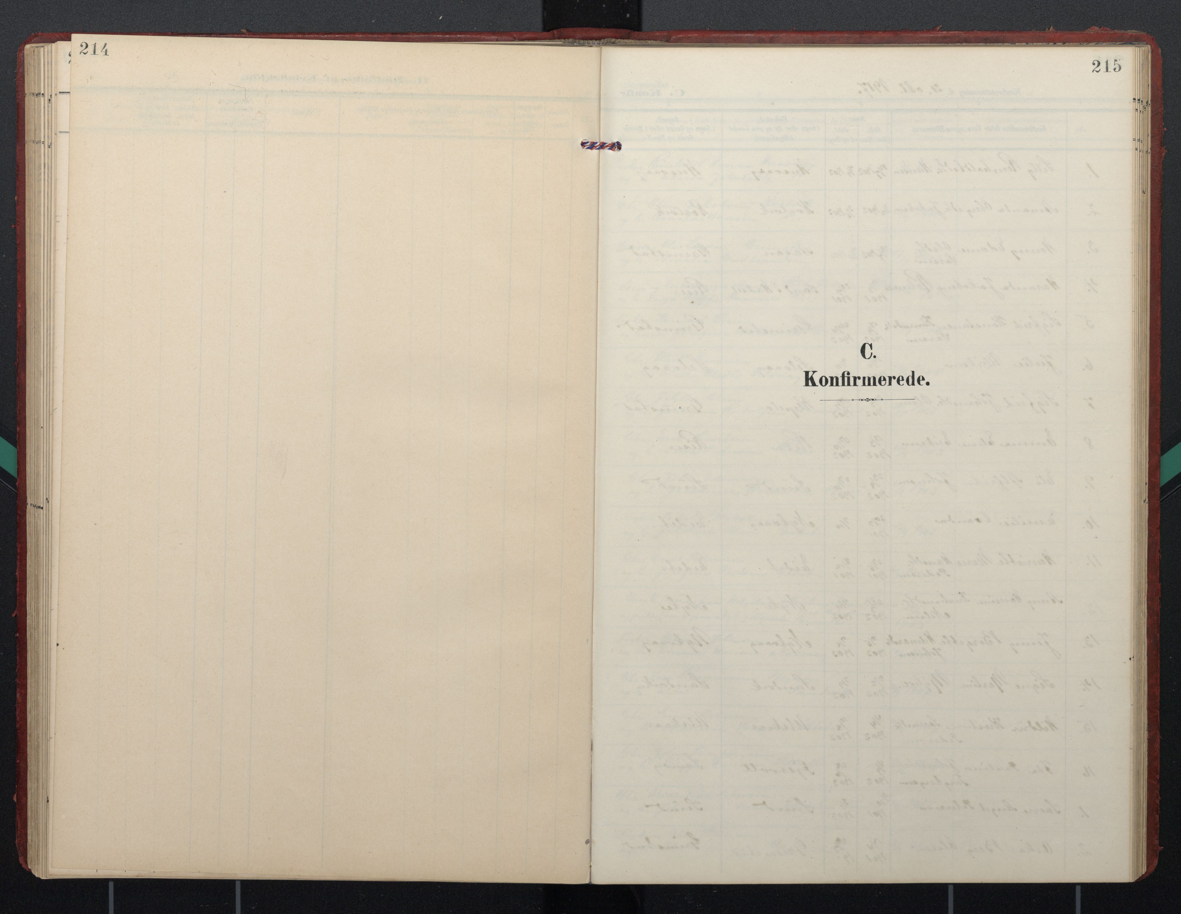 Ministerialprotokoller, klokkerbøker og fødselsregistre - Nordland, AV/SAT-A-1459/892/L1322: Parish register (official) no. 892A03, 1904-1921, p. 214-215