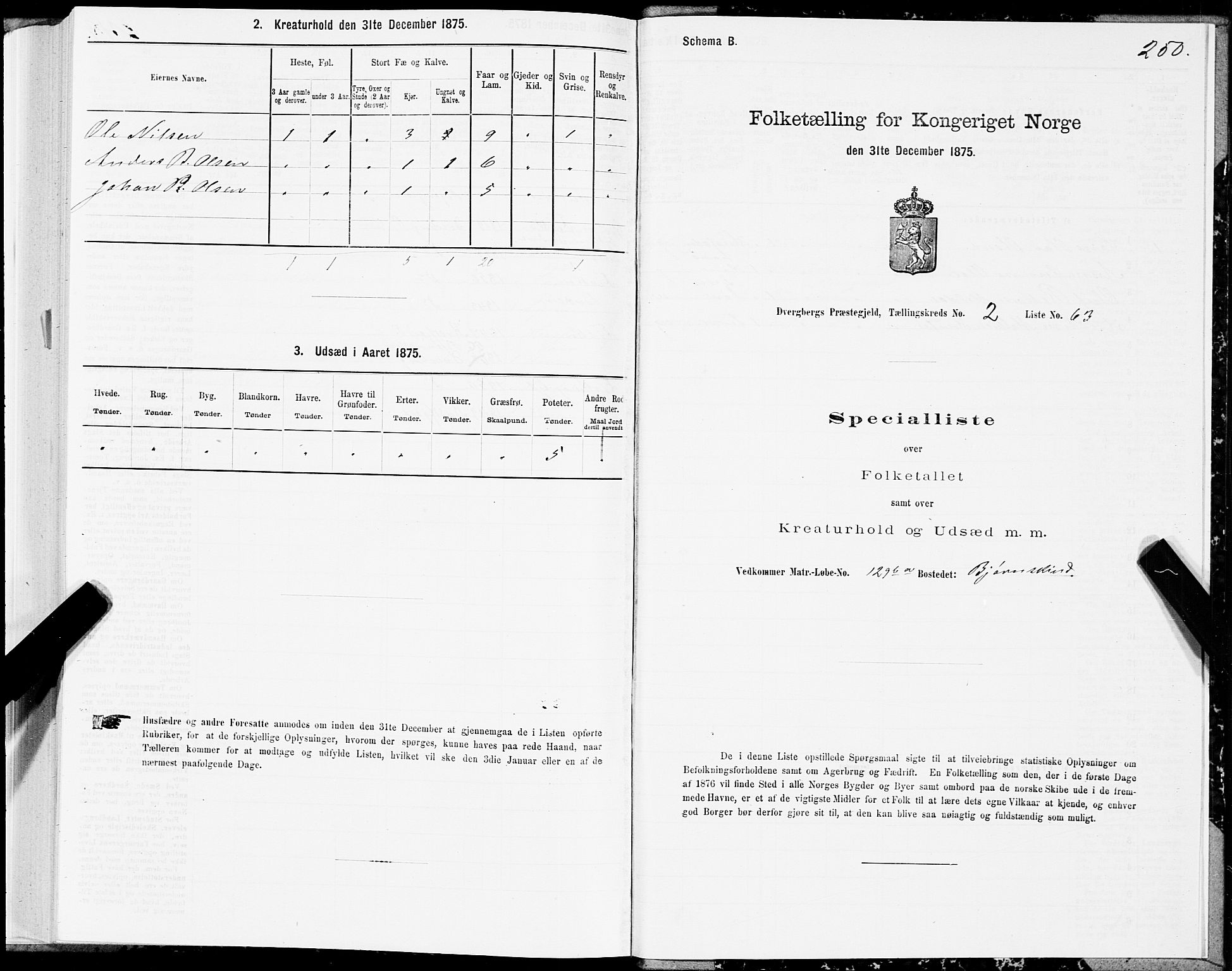 SAT, 1875 census for 1872P Dverberg, 1875, p. 1250