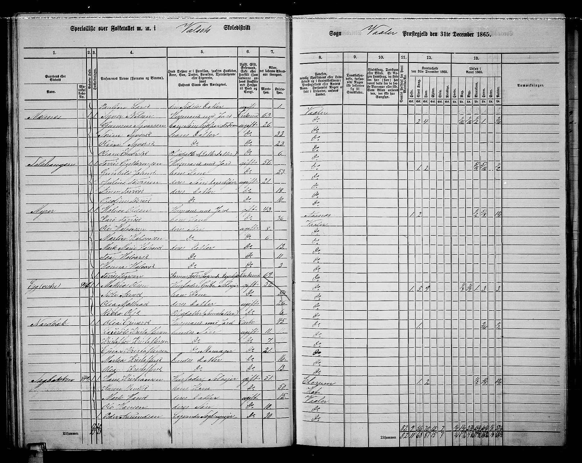 RA, 1865 census for Våler, 1865, p. 43