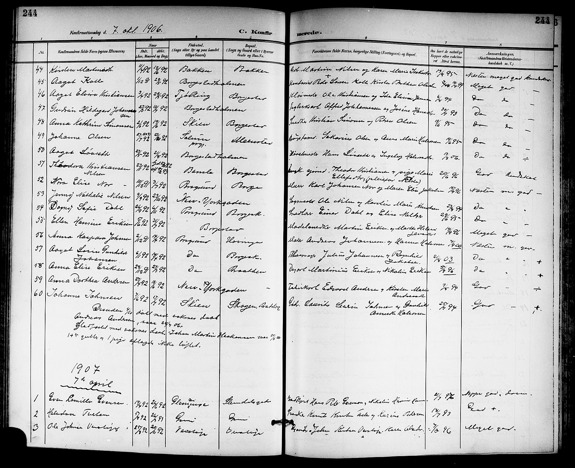 Gjerpen kirkebøker, SAKO/A-265/G/Ga/L0003: Parish register (copy) no. I 3, 1901-1919, p. 244