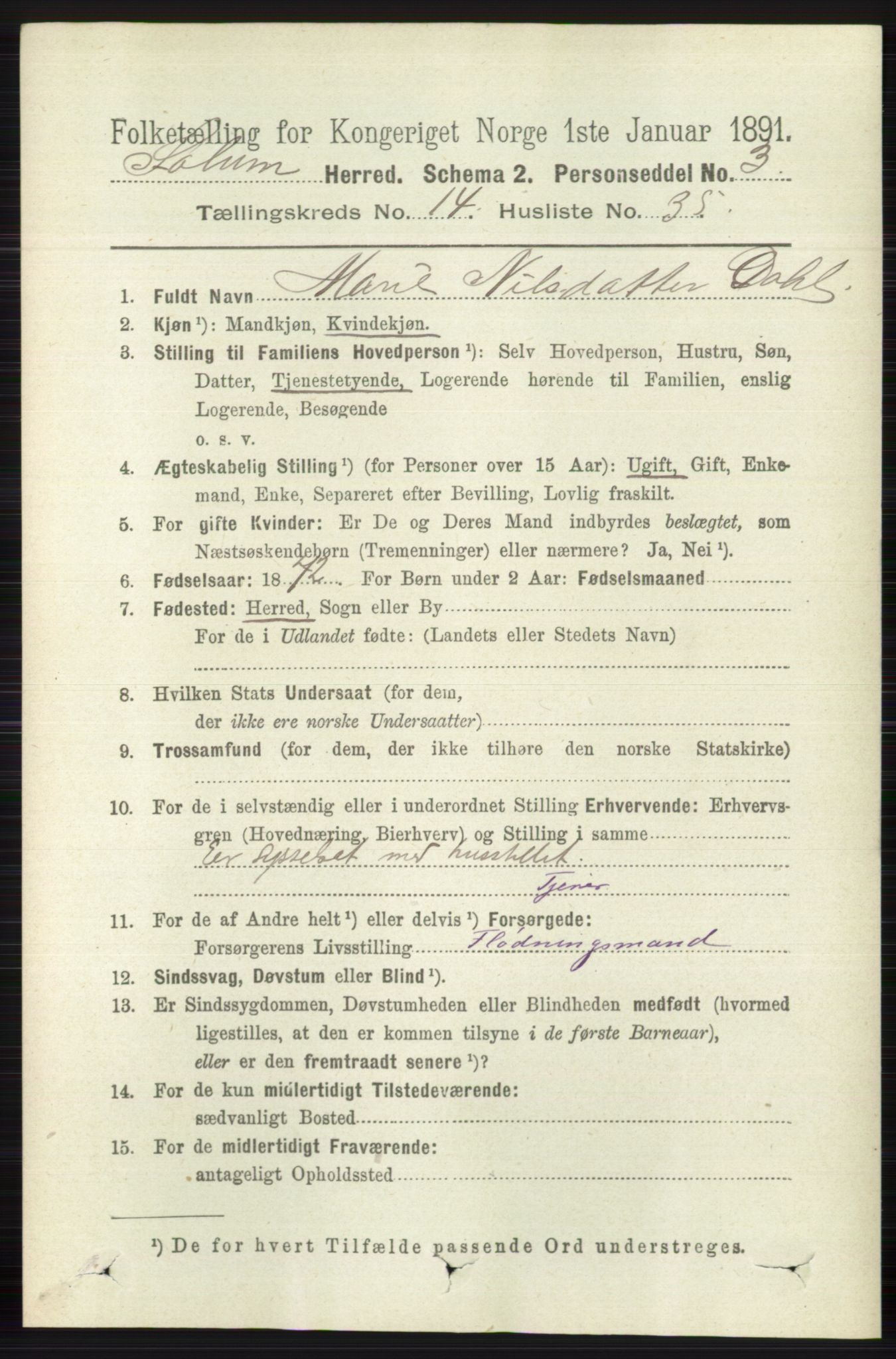 RA, 1891 census for 0818 Solum, 1891, p. 6604