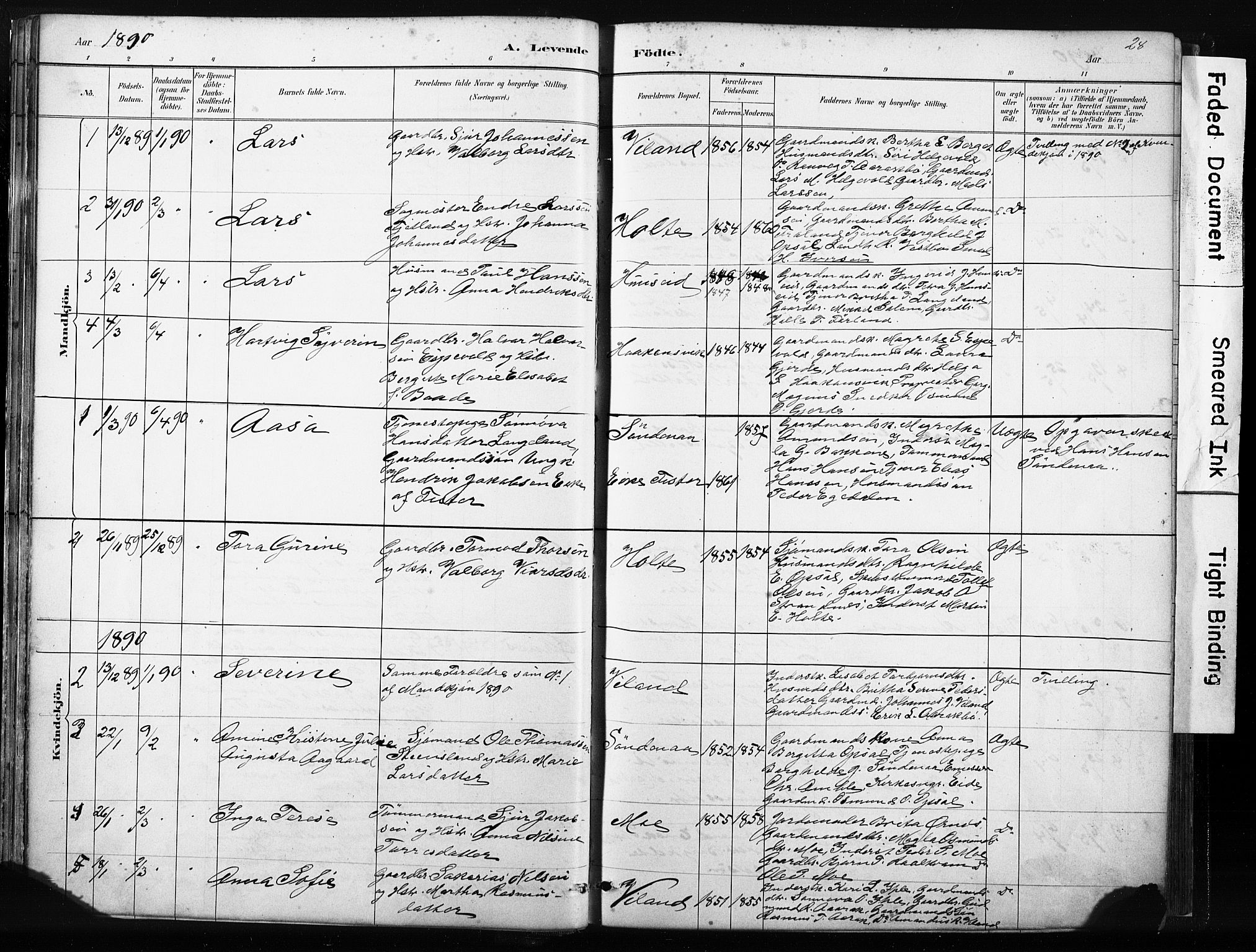 Vikedal sokneprestkontor, AV/SAST-A-101840/01/IV: Parish register (official) no. A 10, 1884-1907, p. 28