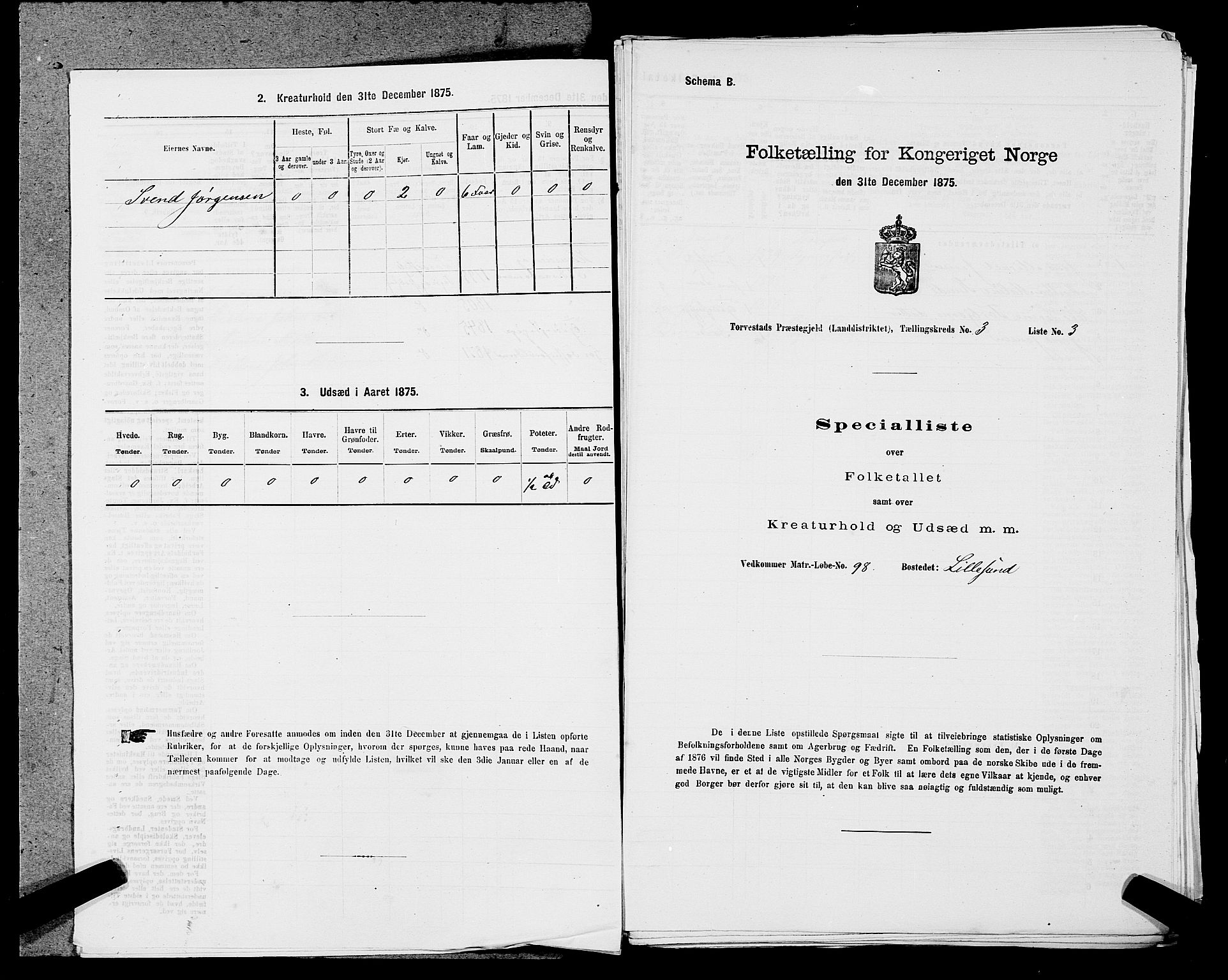 SAST, 1875 census for 1152L Torvastad/Torvastad, Skåre og Utsira, 1875, p. 421