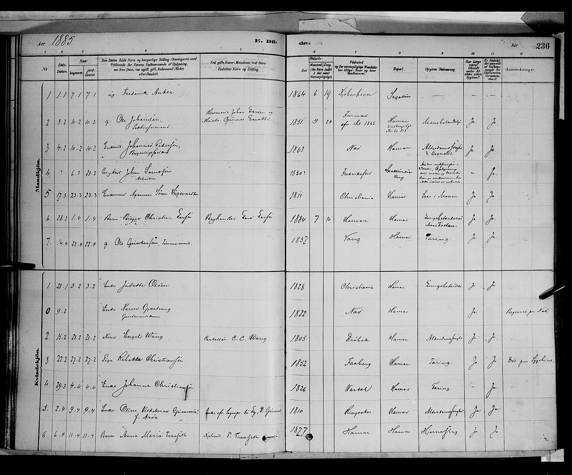 Vang prestekontor, Hedmark, SAH/PREST-008/H/Ha/Haa/L0016: Parish register (official) no. 16, 1878-1889, p. 236