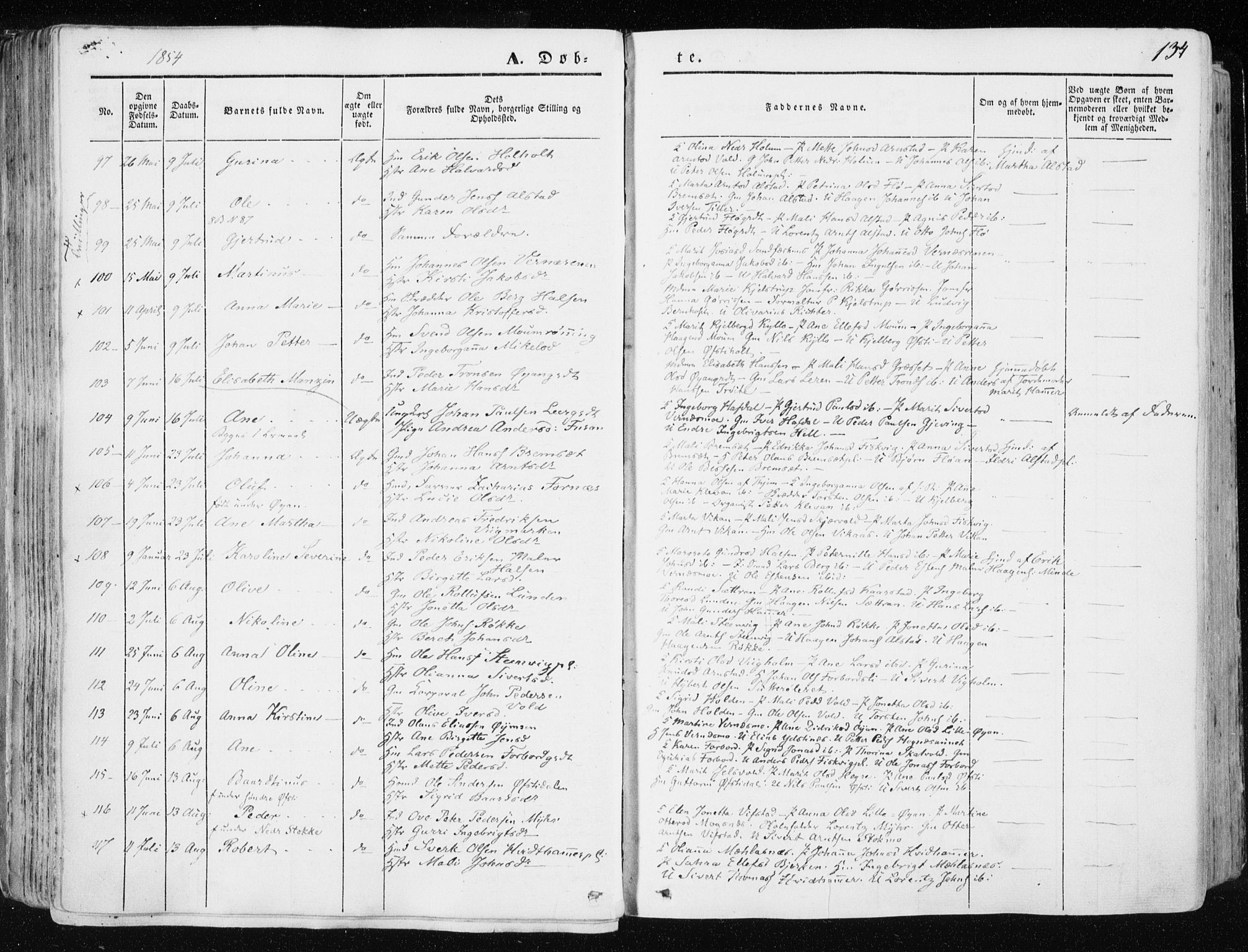 Ministerialprotokoller, klokkerbøker og fødselsregistre - Nord-Trøndelag, AV/SAT-A-1458/709/L0074: Parish register (official) no. 709A14, 1845-1858, p. 134